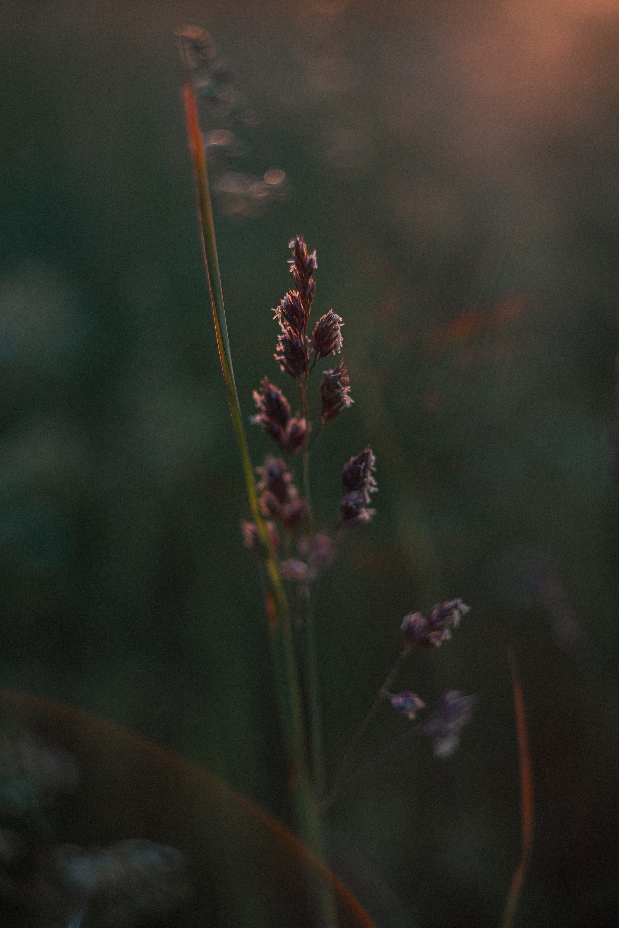 «Голливудская» связка Sony A7 III и Гелиос 44-2. Юля Дэй • Фотограф, Санкт-Петербург