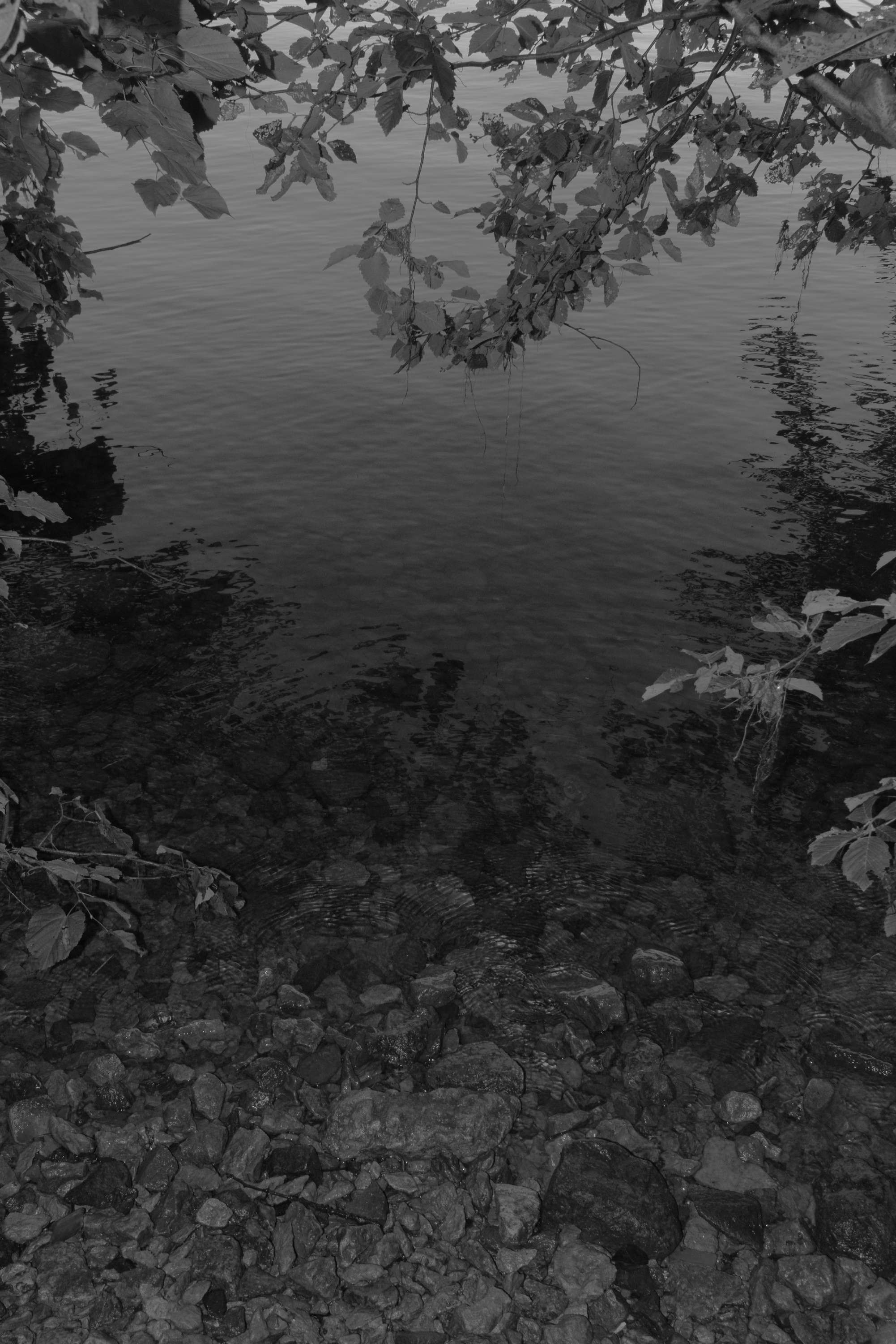 About fish. Maria Pilkevich