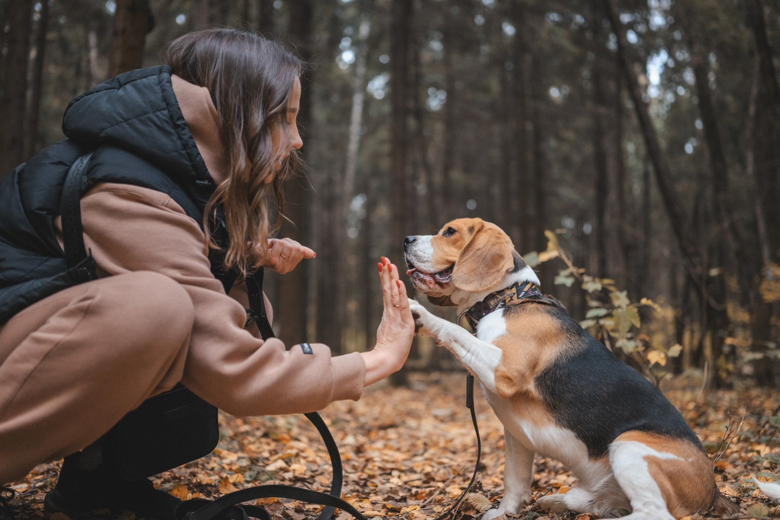 Фотограф Анималист в Москве Анастасия Жучкова