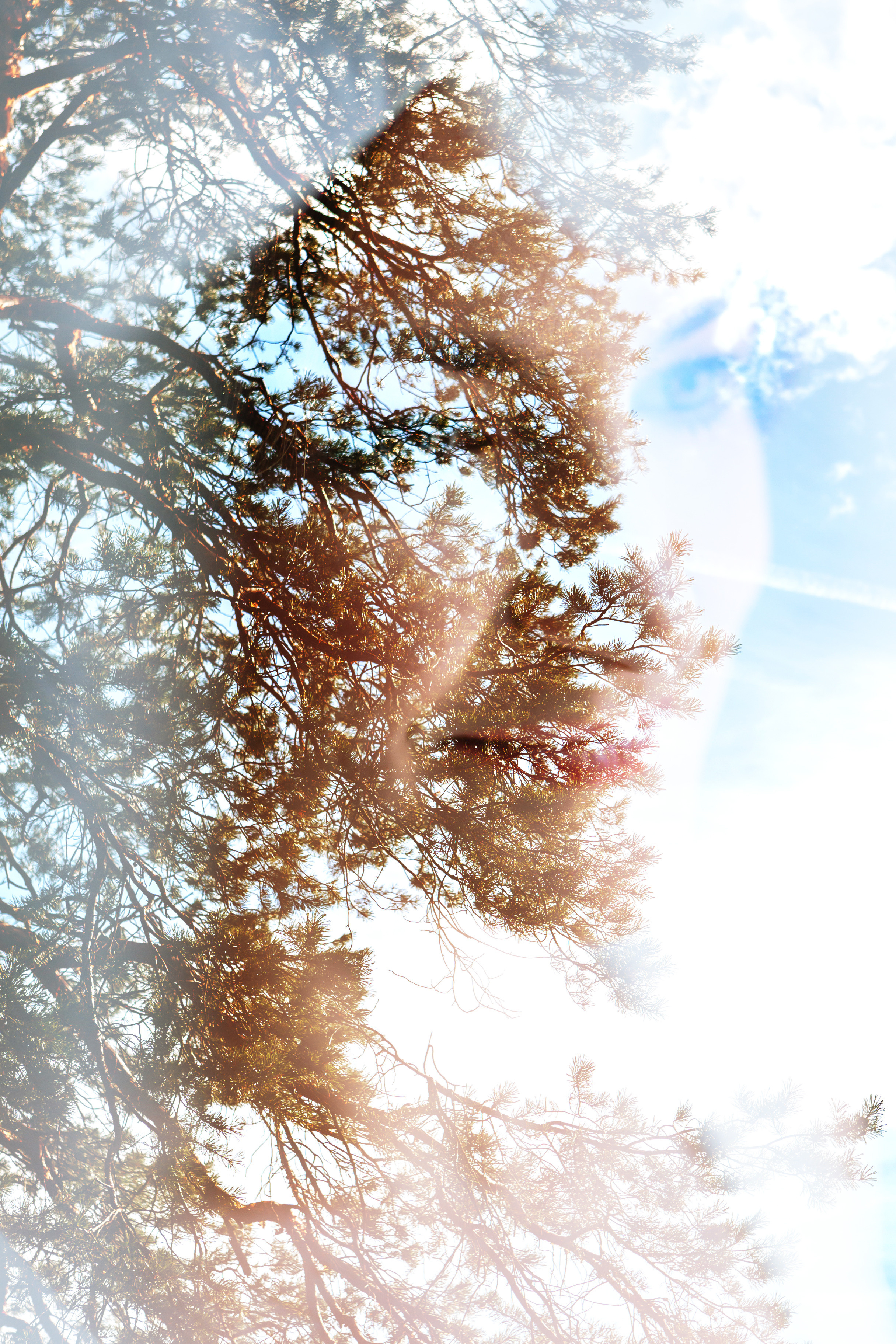 Wedding, romantic photo, family holidays. Workshops