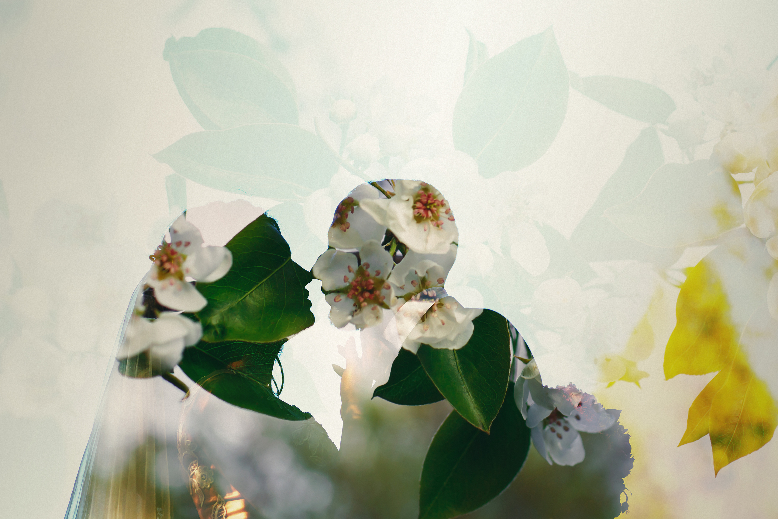 Стоимость свадебной съемки. Wedding, romantic photo, family holidays. Workshops