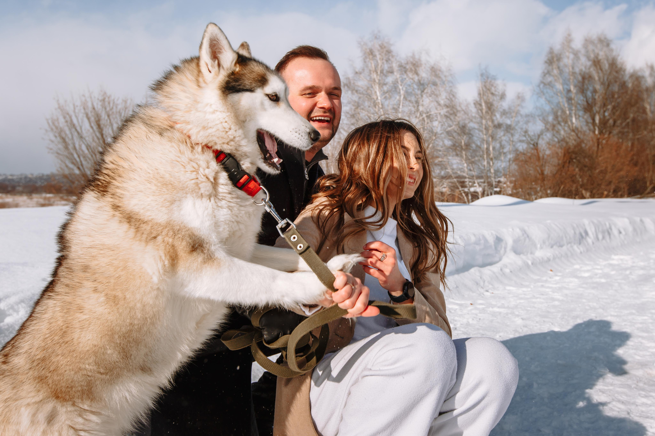 Love Story. Wedding, romantic photo, family holidays. Workshops