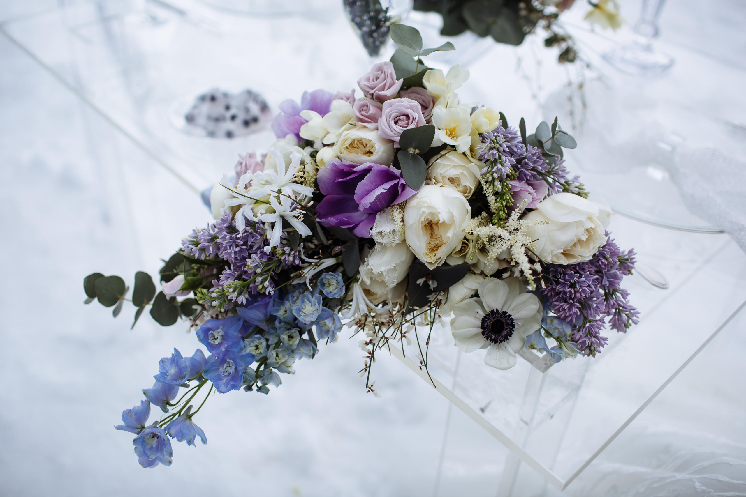 2019 | «Mystery of Ice». Wedding, romantic photo, family holidays. Workshops