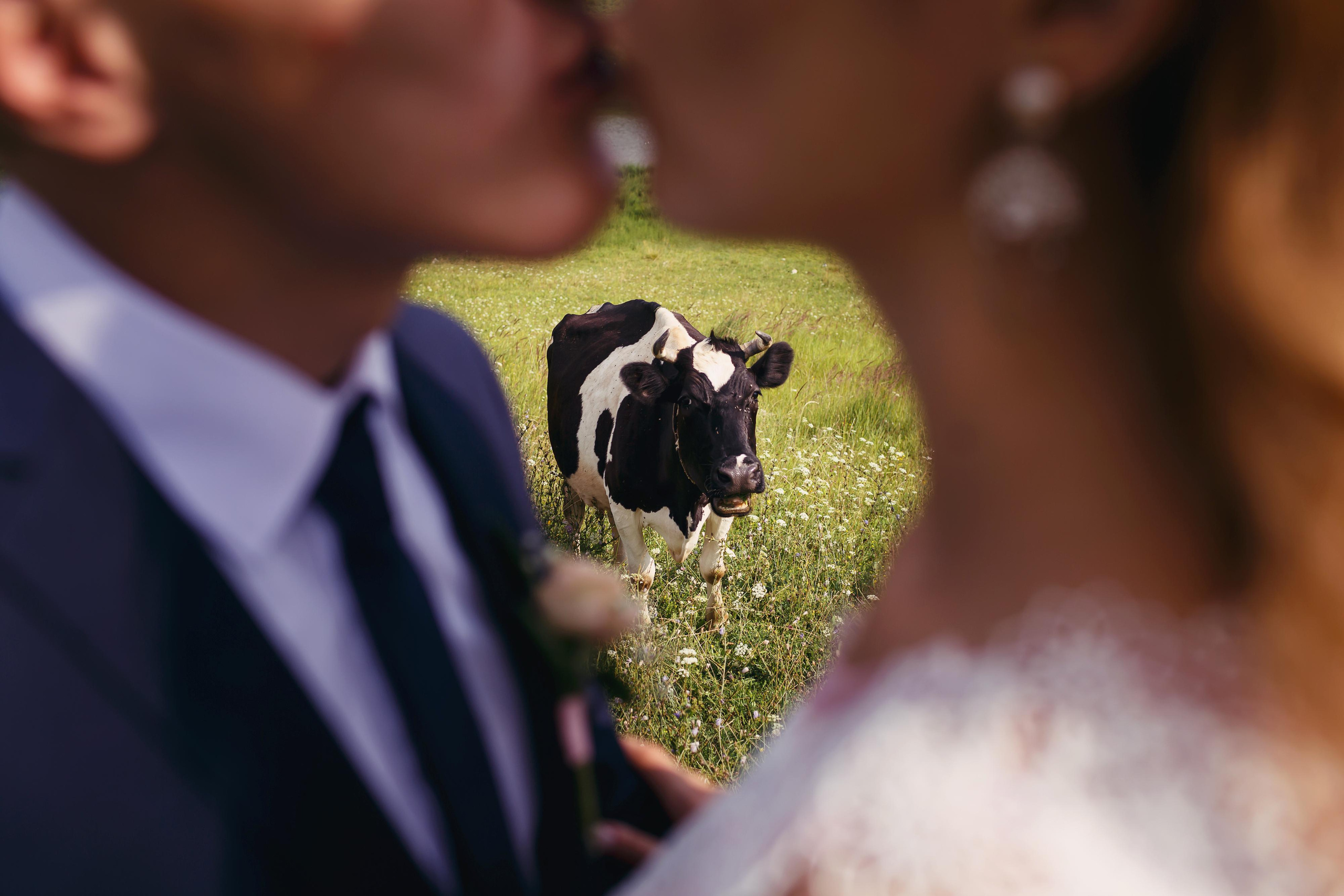 Стоимость свадебной съемки. Wedding, romantic photo, family holidays. Workshops