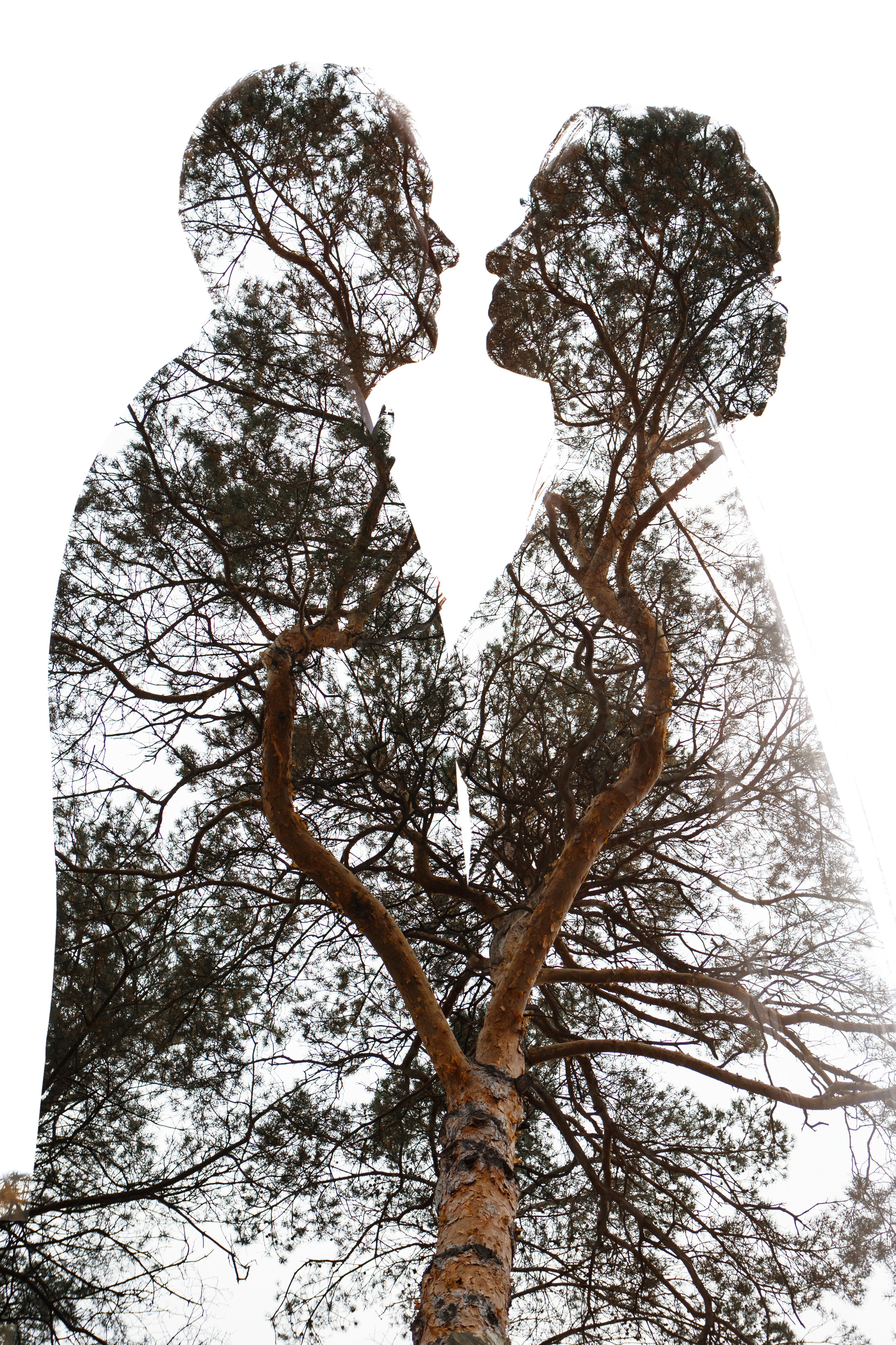 Wedding, romantic photo, family holidays. Workshops