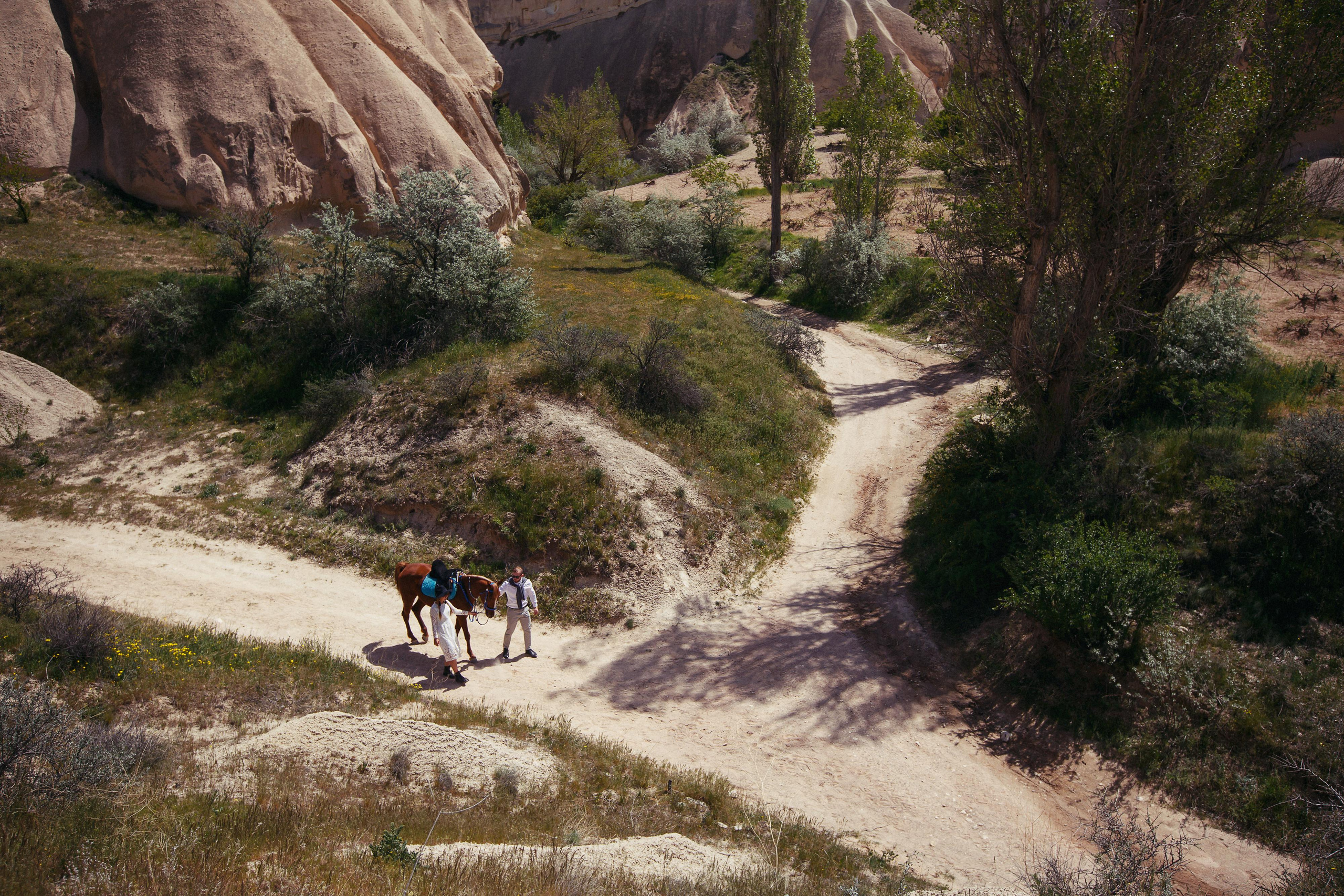 Love Story. Wedding, romantic photo, family holidays. Workshops