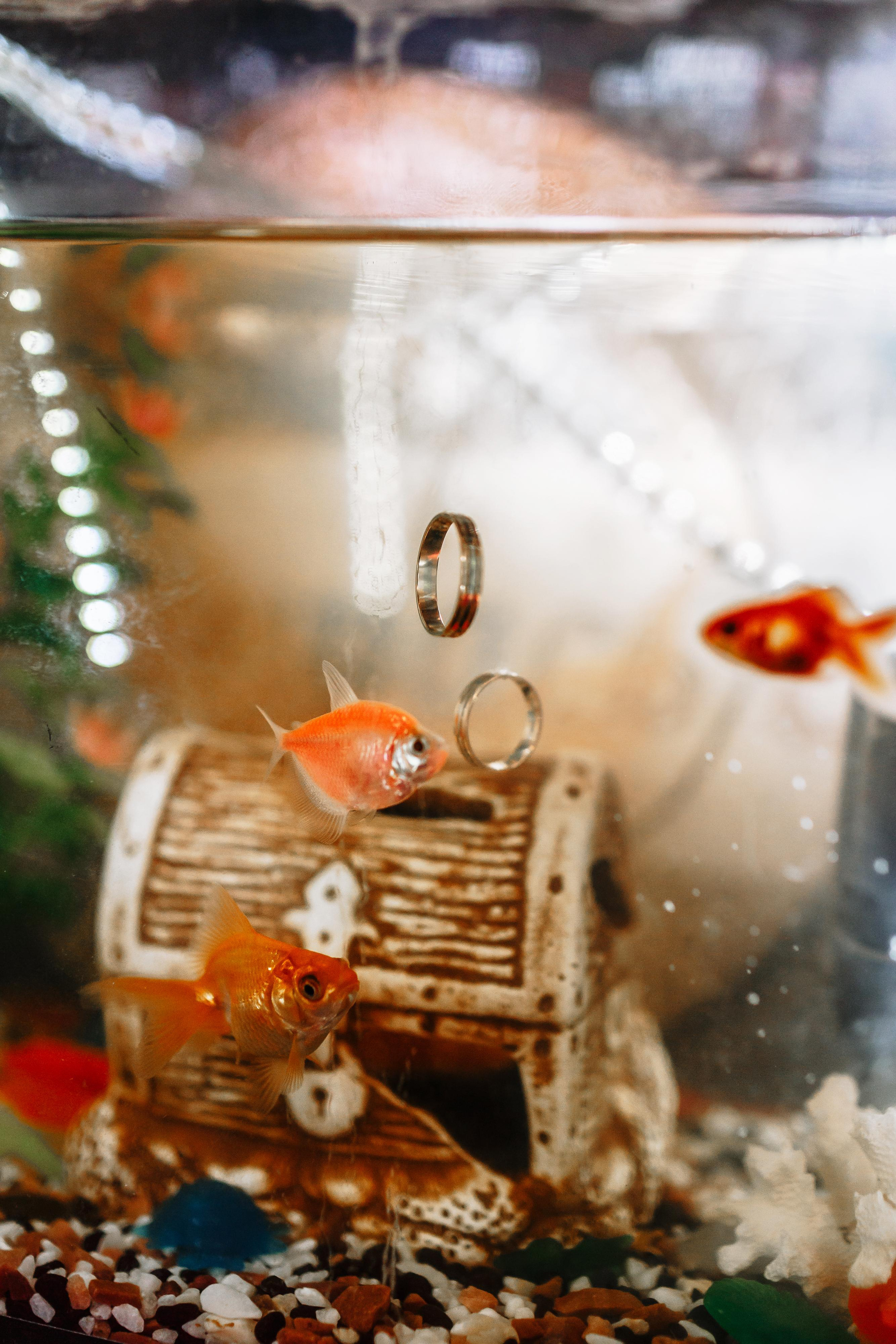 Wedding, romantic photo, family holidays. Workshops