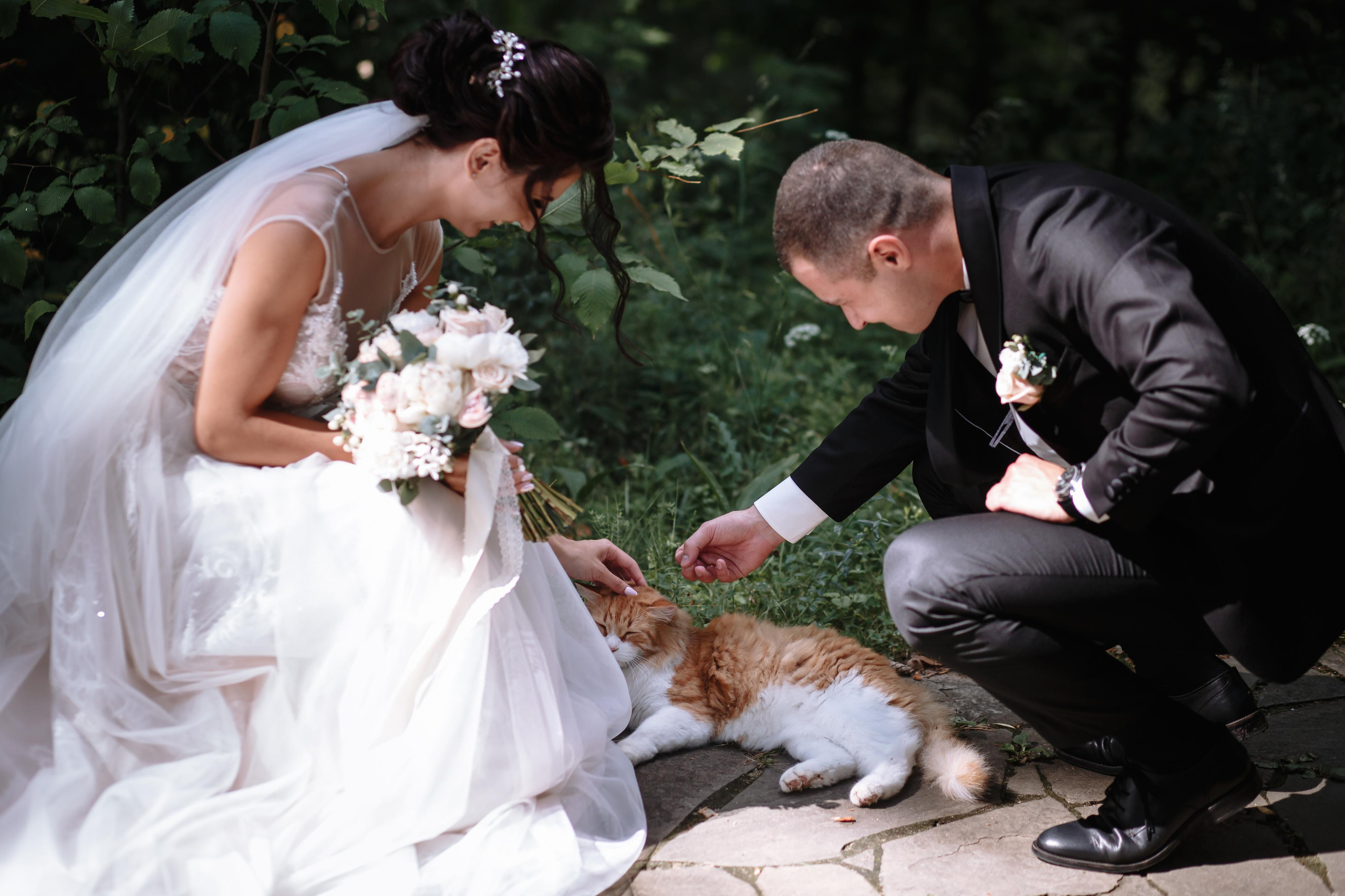 2019 | Tatiana and Yuri. Wedding, romantic photo, family holidays. Workshops