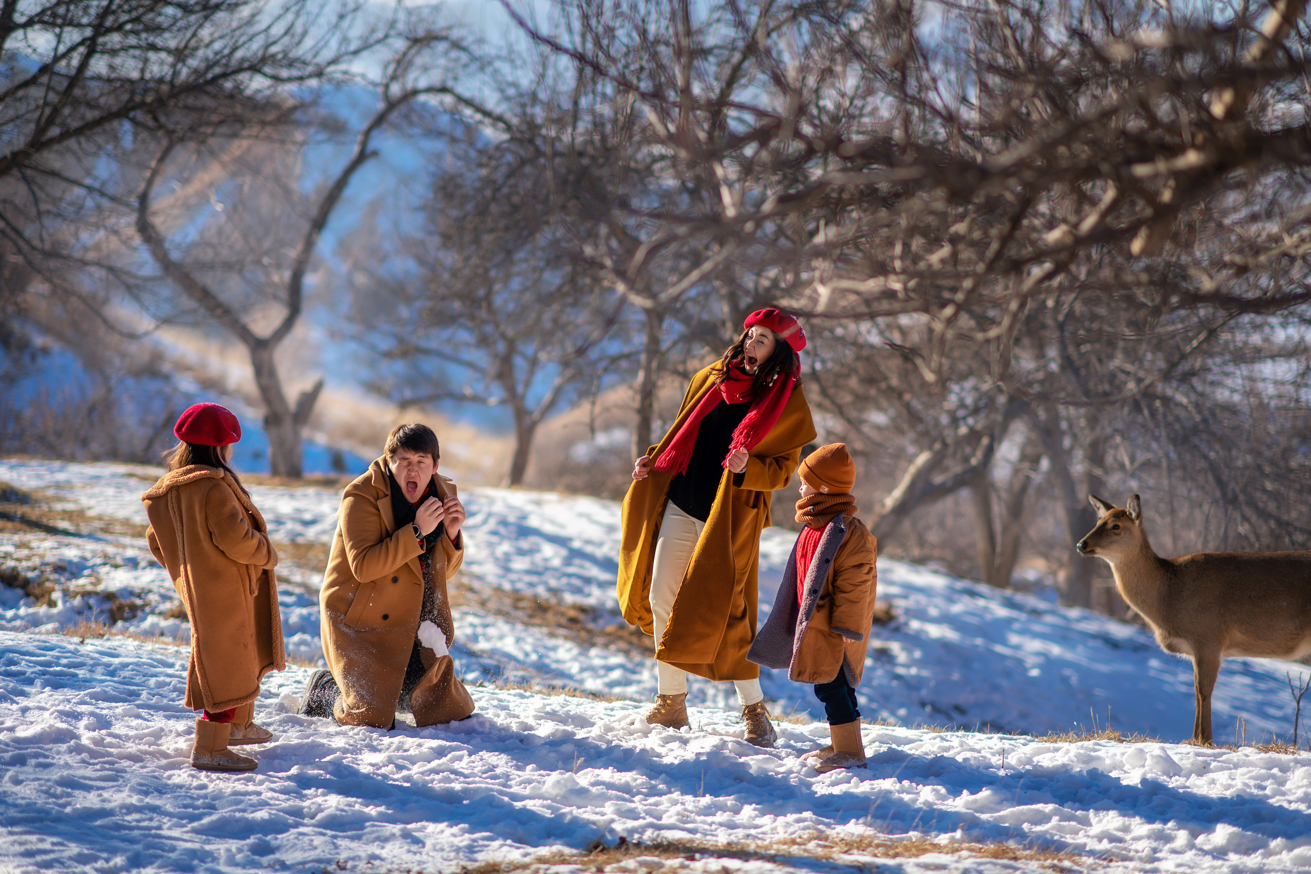 ЗИМНИЕ/НОВОГОДНИЕ фотосессии. Творческая команда Ульяшевы, свадебная и семейная фотография. Кахахста