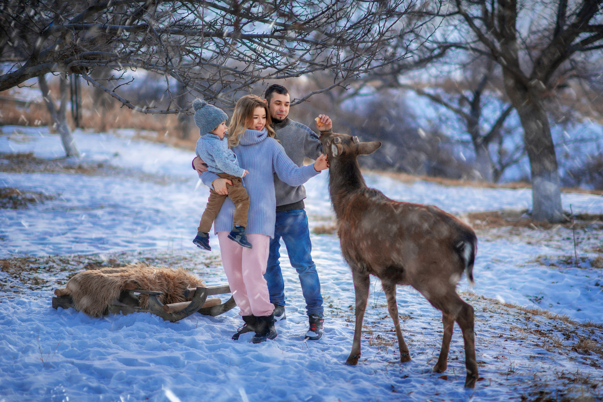 ЗИМНИЕ/НОВОГОДНИЕ фотосессии. Творческая команда Ульяшевы, свадебная и семейная фотография. Кахахста