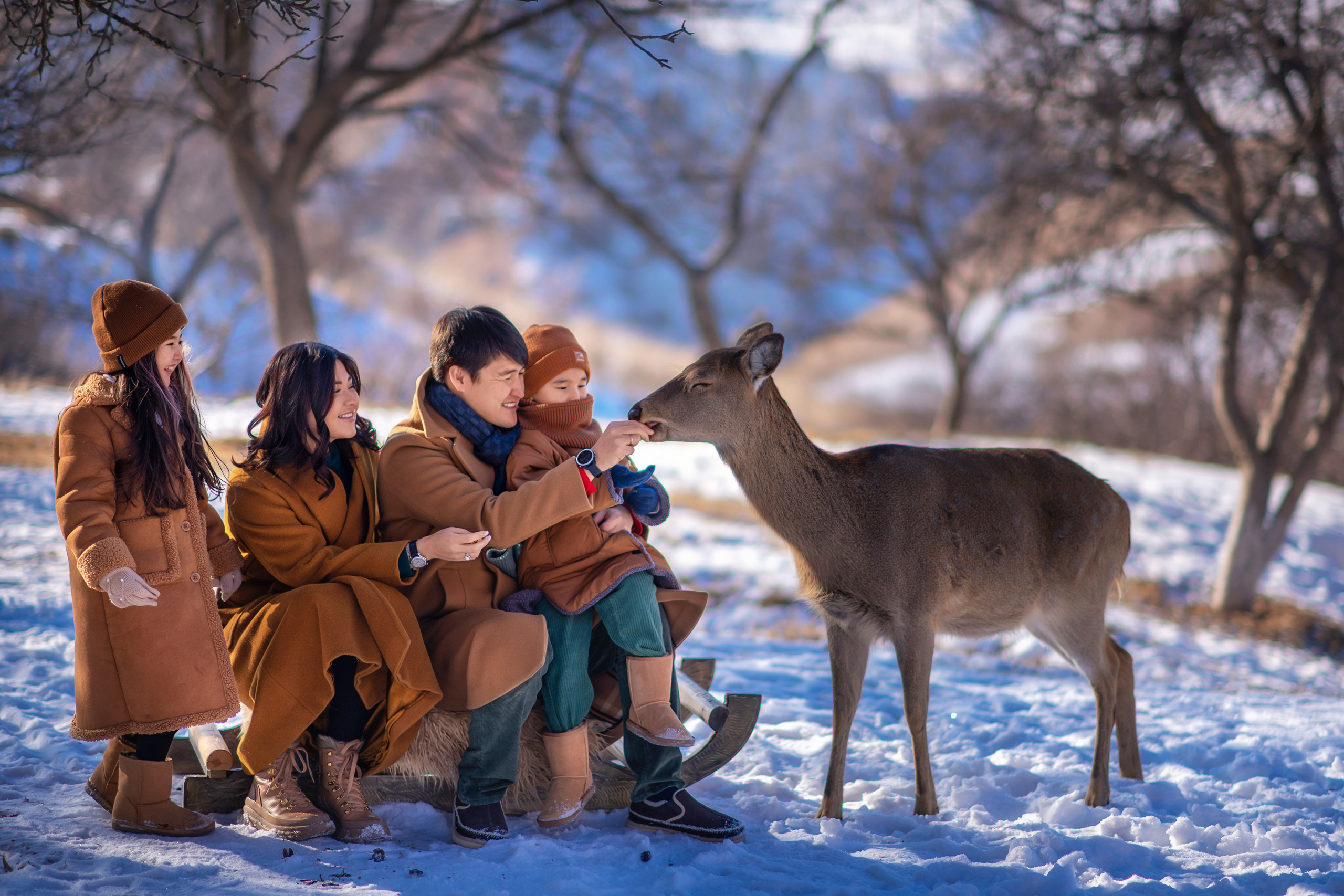 ЗИМНИЕ/НОВОГОДНИЕ фотосессии. Творческая команда Ульяшевы, свадебная и семейная фотография. Кахахста