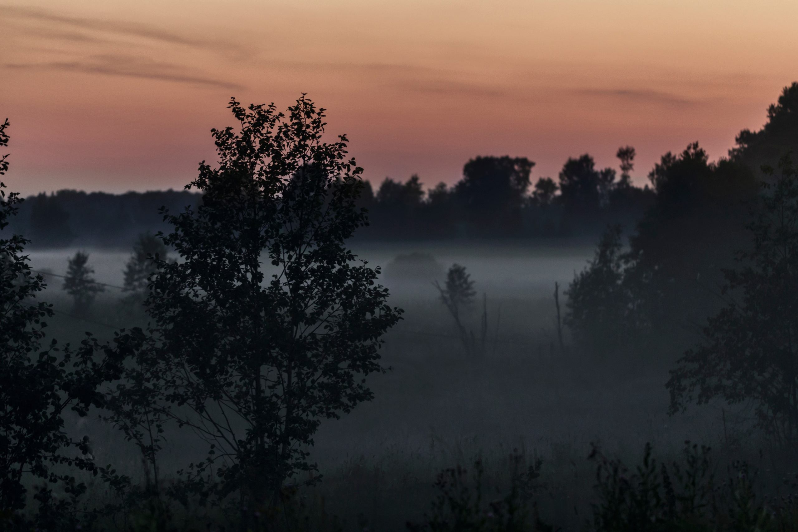Тишина. Свадьбы, портретная, предметная съемка. Фотограф Александр К