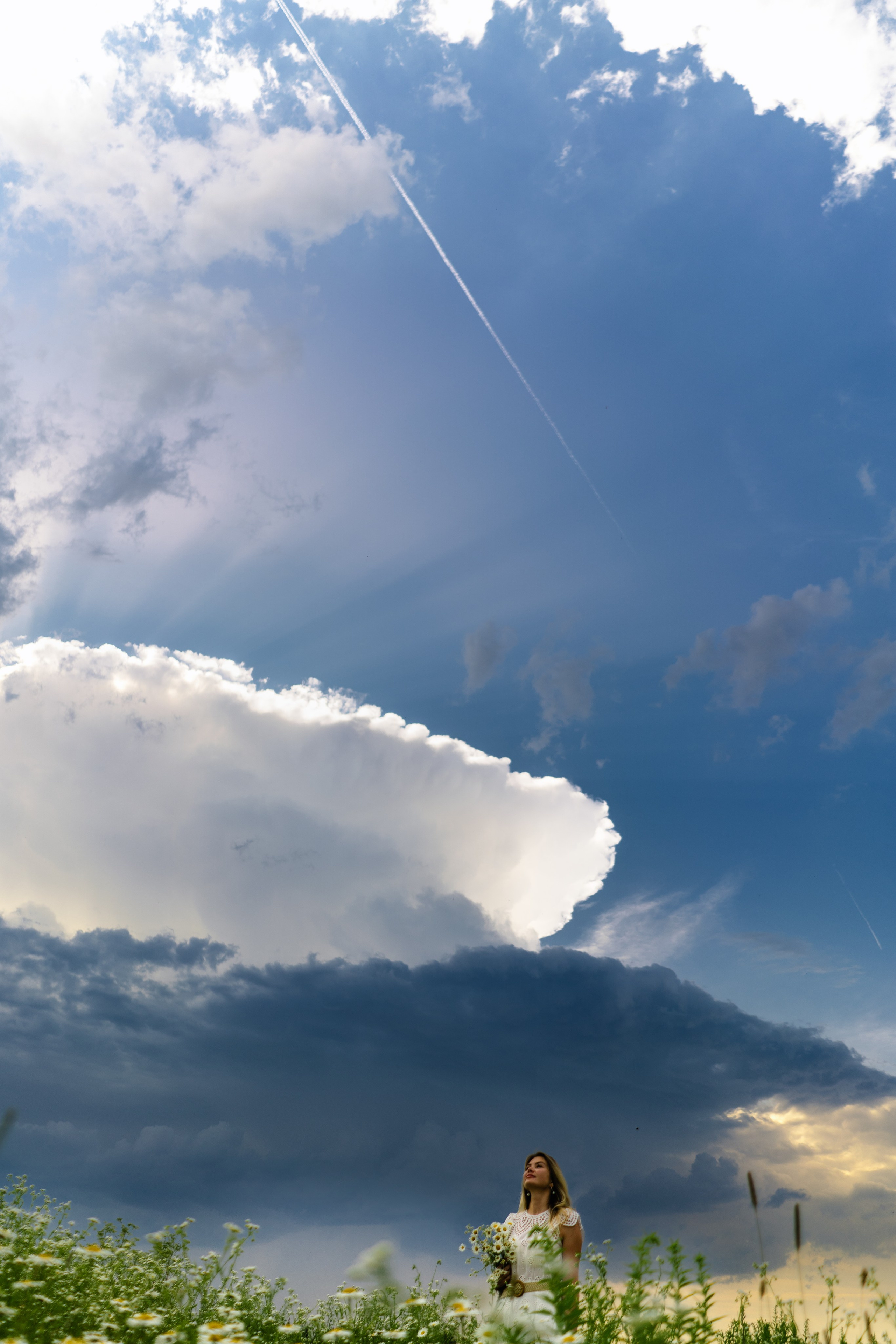 Елена, Богослово, ромашковое поле. Наталья Дукалова фотограф Щелково Королев Пушкино Москва Балашиха