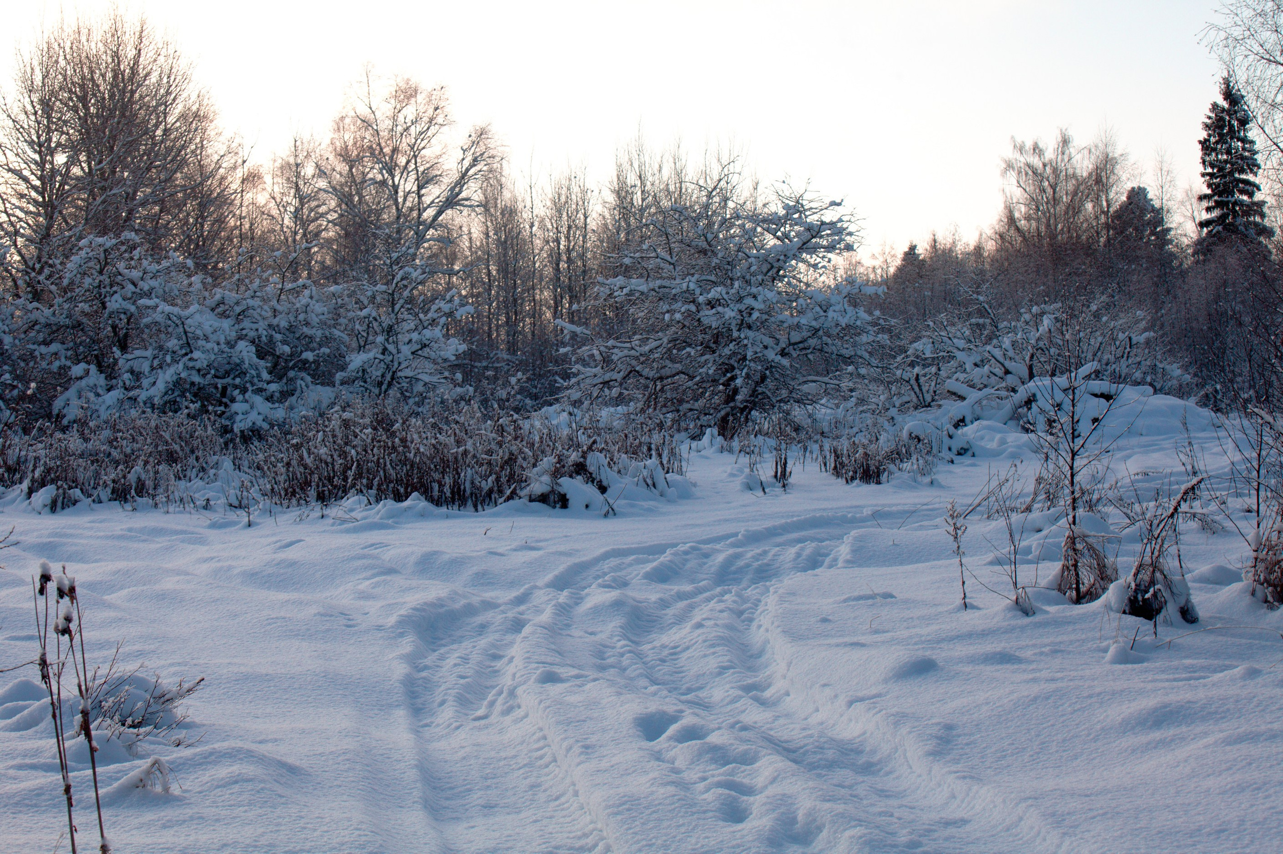 Фотопроект «Зима продолжается». Свадьбы, портретная, предметная съемка. Фотограф Александр К