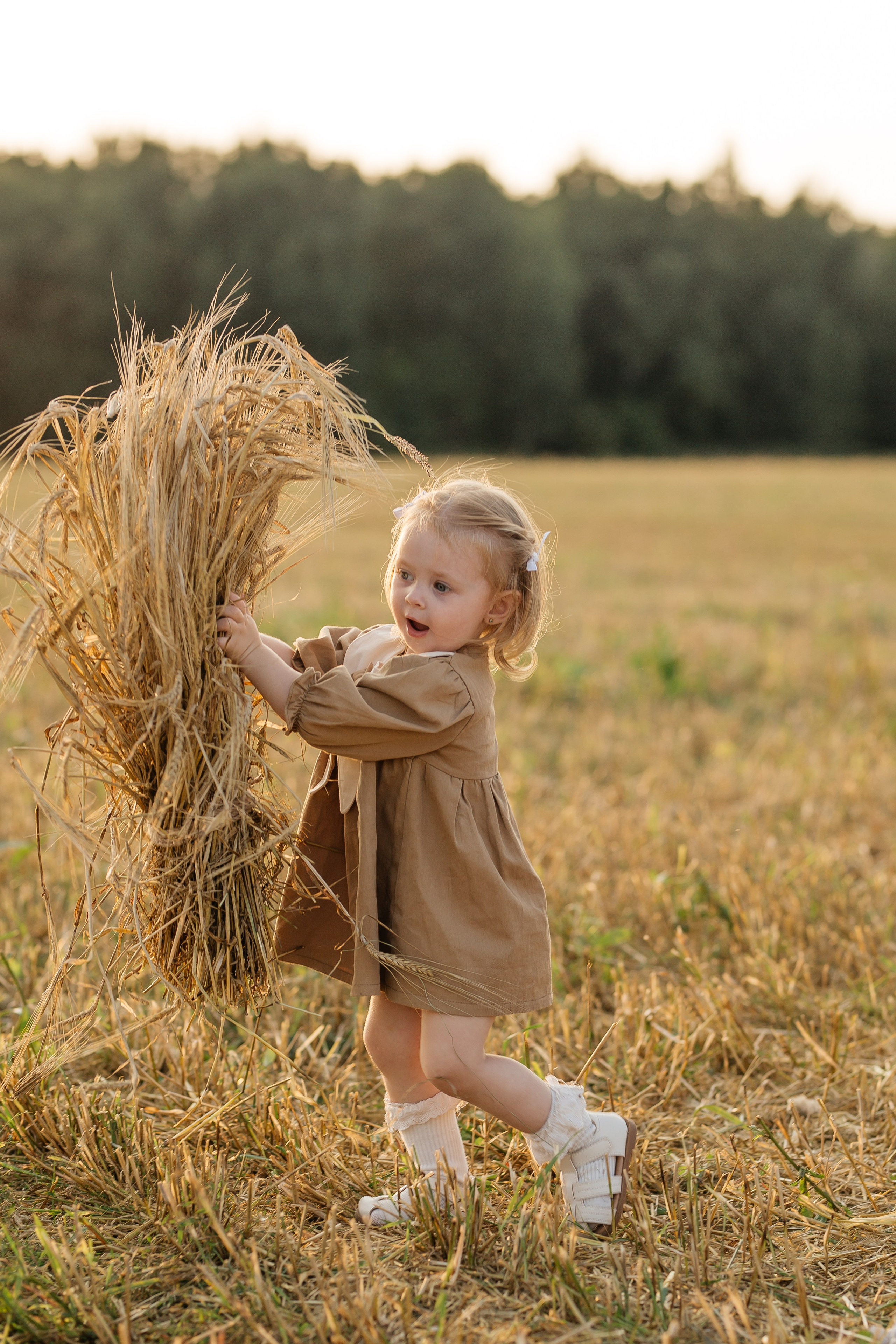 Фотодень «Август. Поле. Урожай». Фотограф Олеся Бакалина