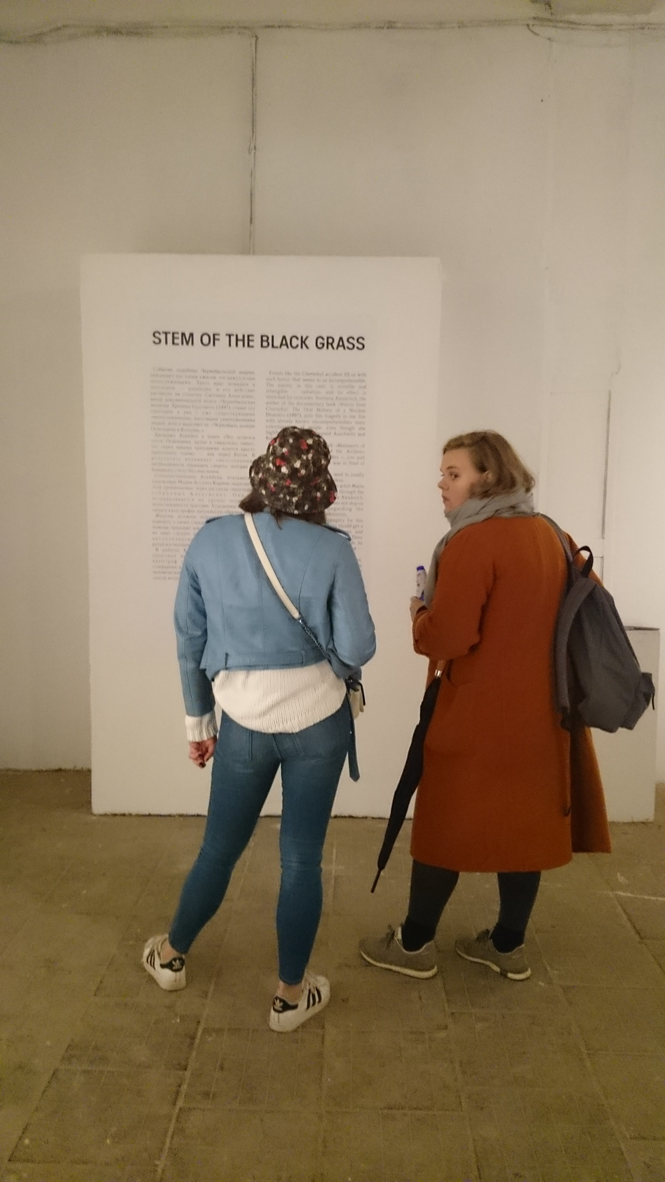 STEM OF THE BLACK GRASS. Ilmira Bolotyan — Interdisciplinary Artist and Curator