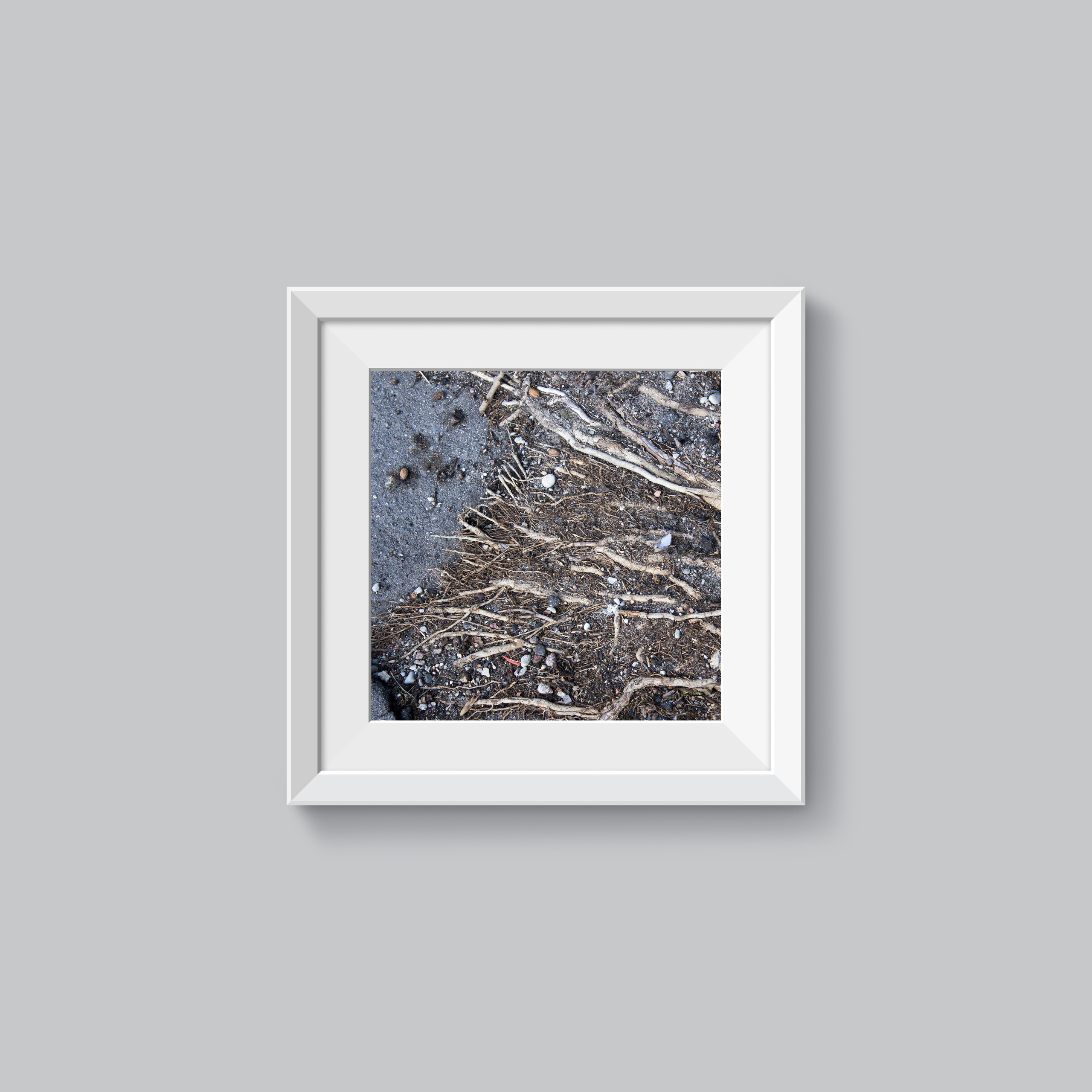 Авторские принты. Julia Gorbunova