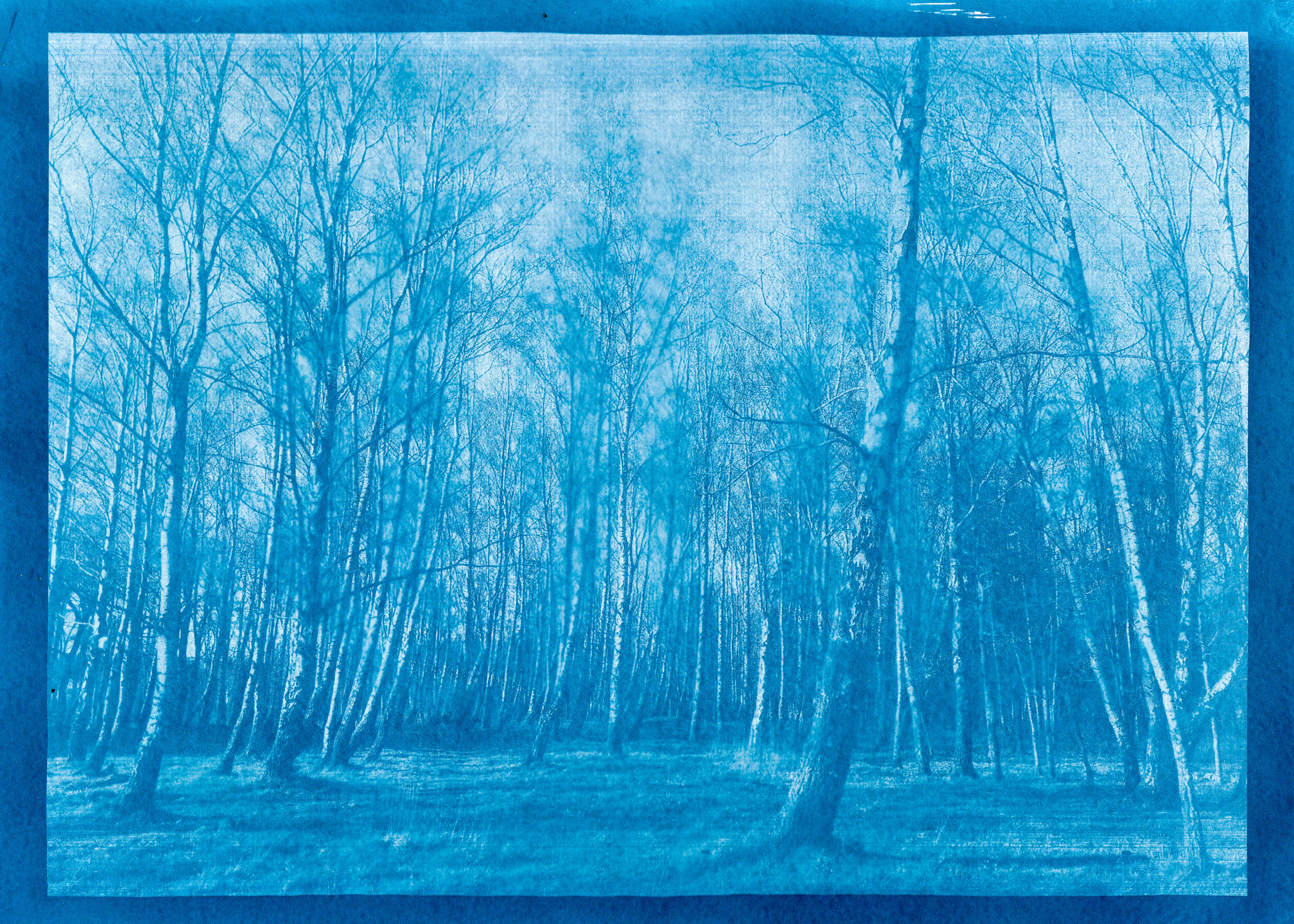 Авторские принты. Julia Gorbunova