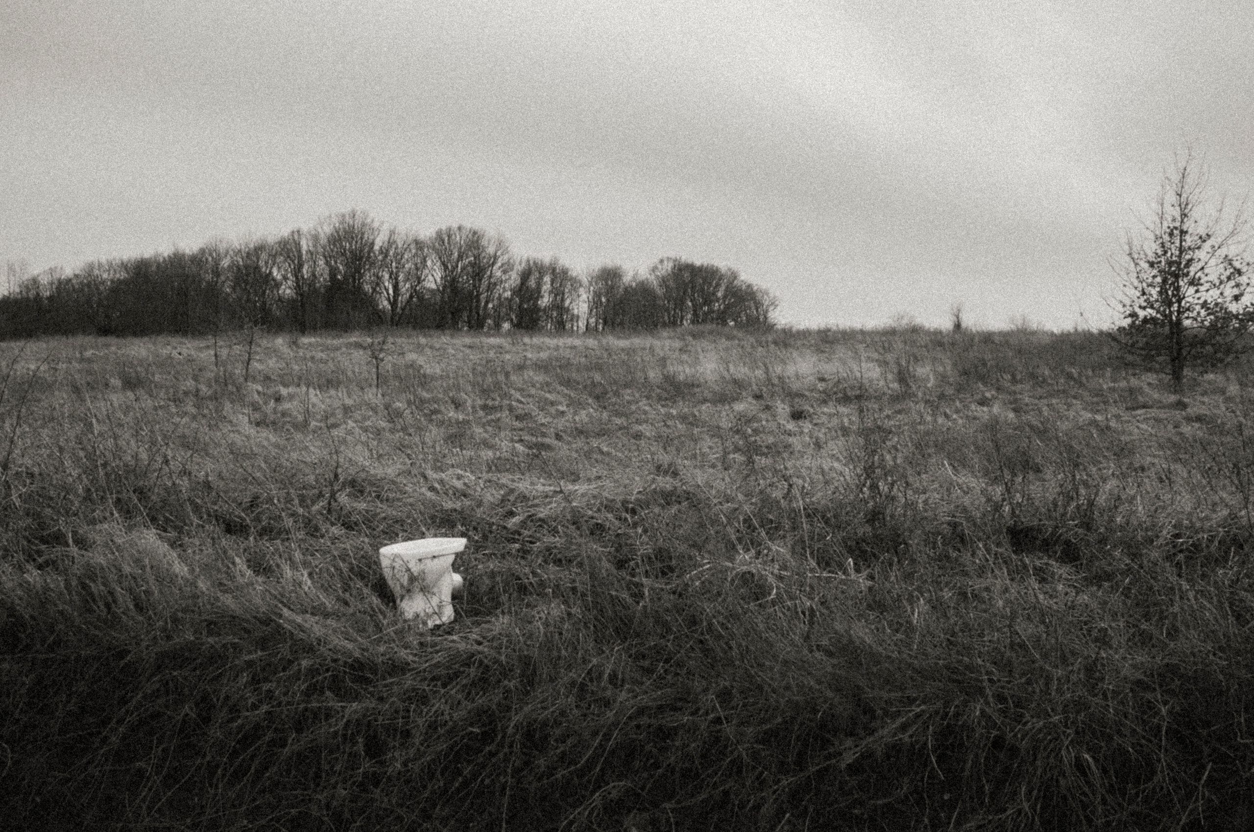 Авторские принты. Julia Gorbunova