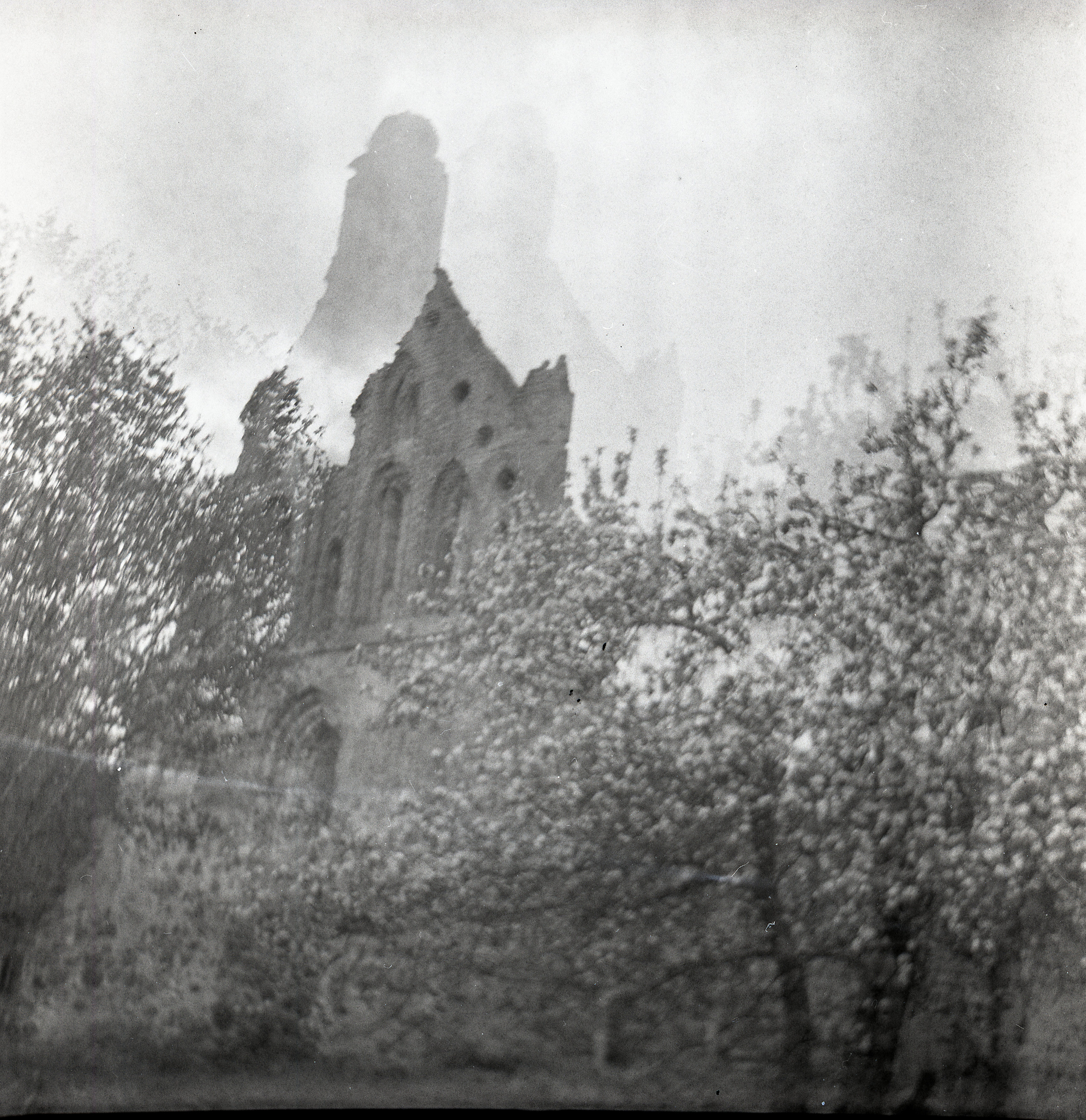 Авторские принты. Julia Gorbunova