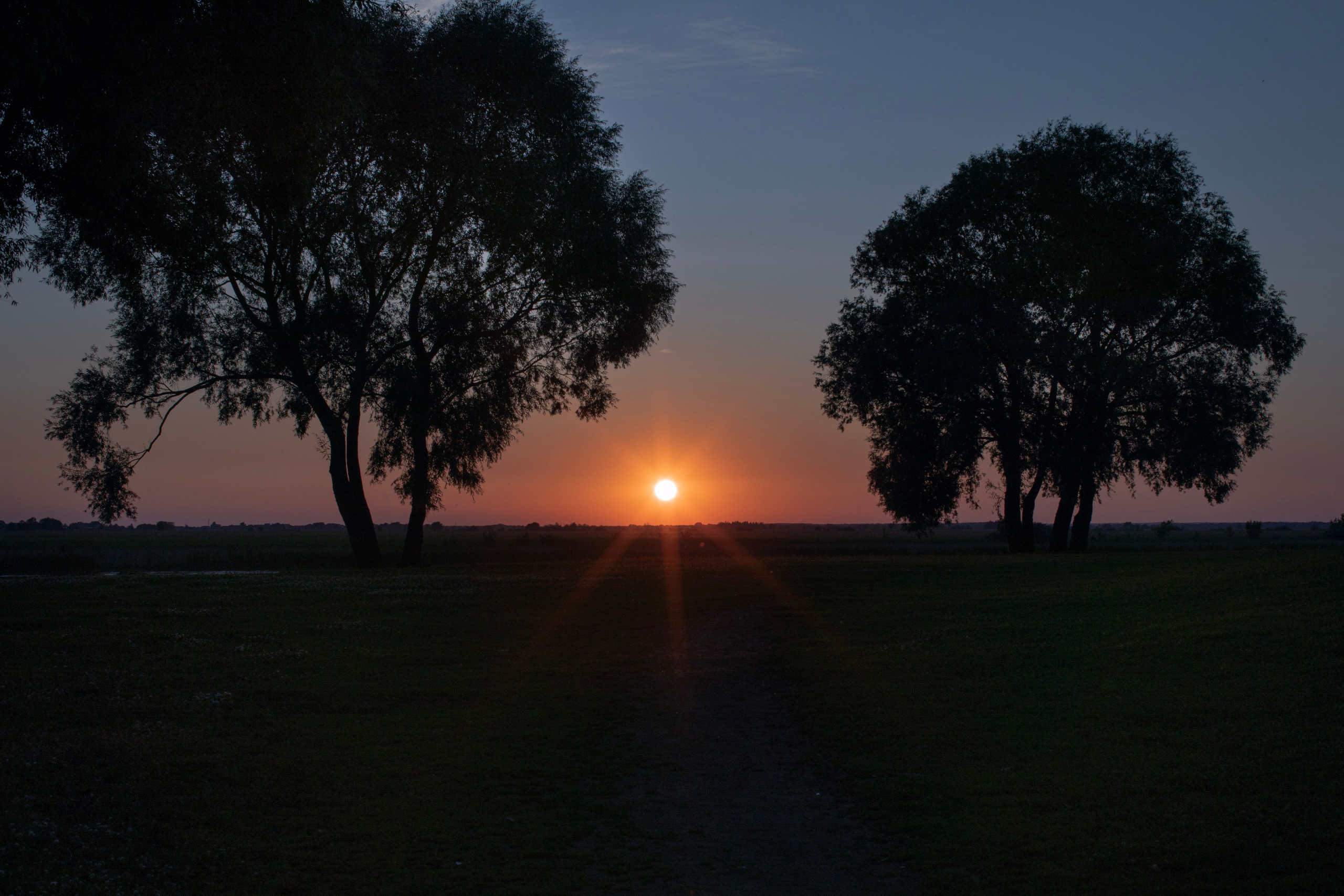 Рязань'25. Фотограф-портретист в Москве