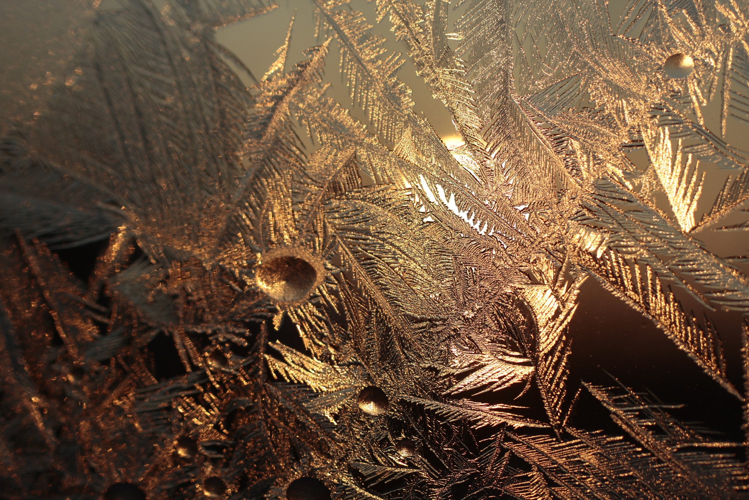 Нюта Арт, фото-видео креатор. Nuta ART - photo-video creator