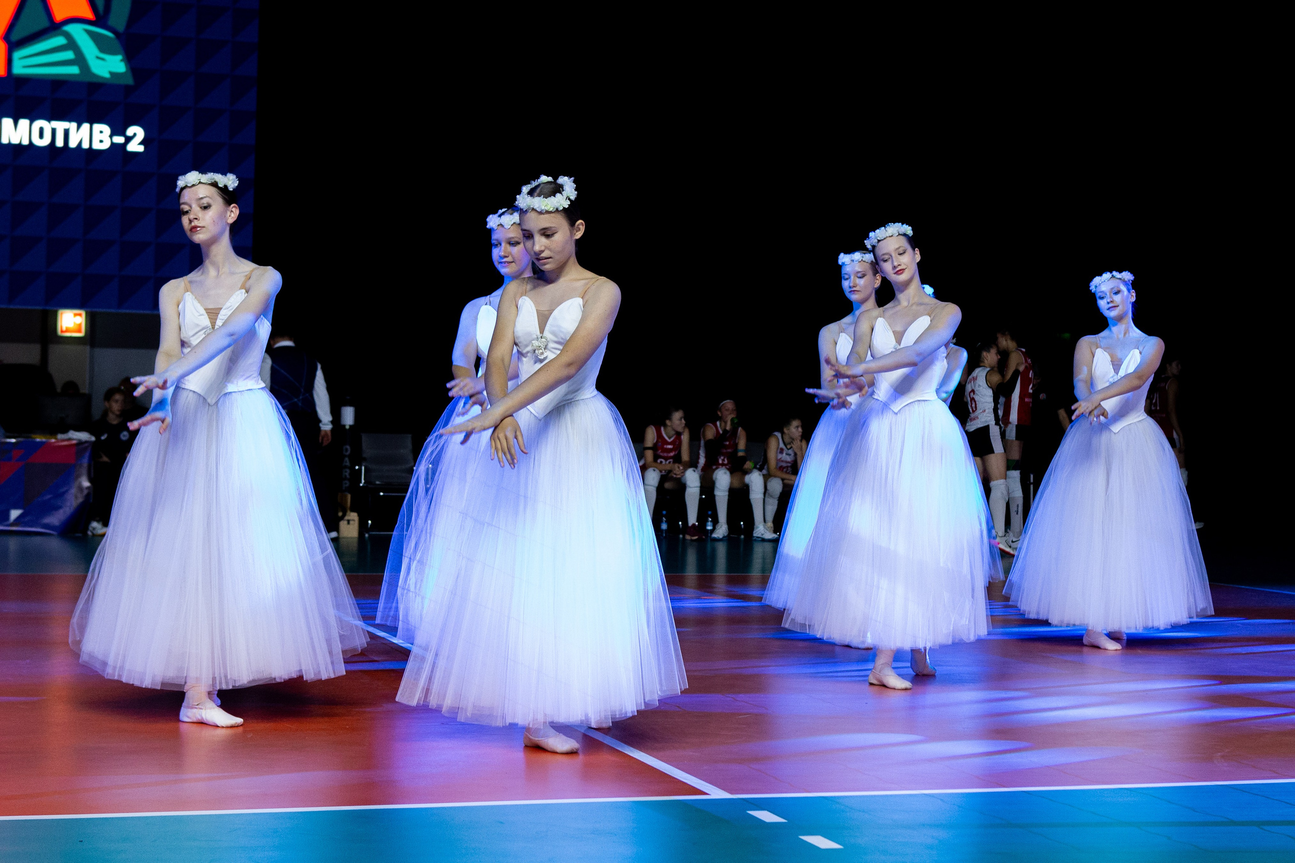 Один день из тура чемпионата России по волейболу. Кутузов Евгений Фотограф в Южно-Сахалинске