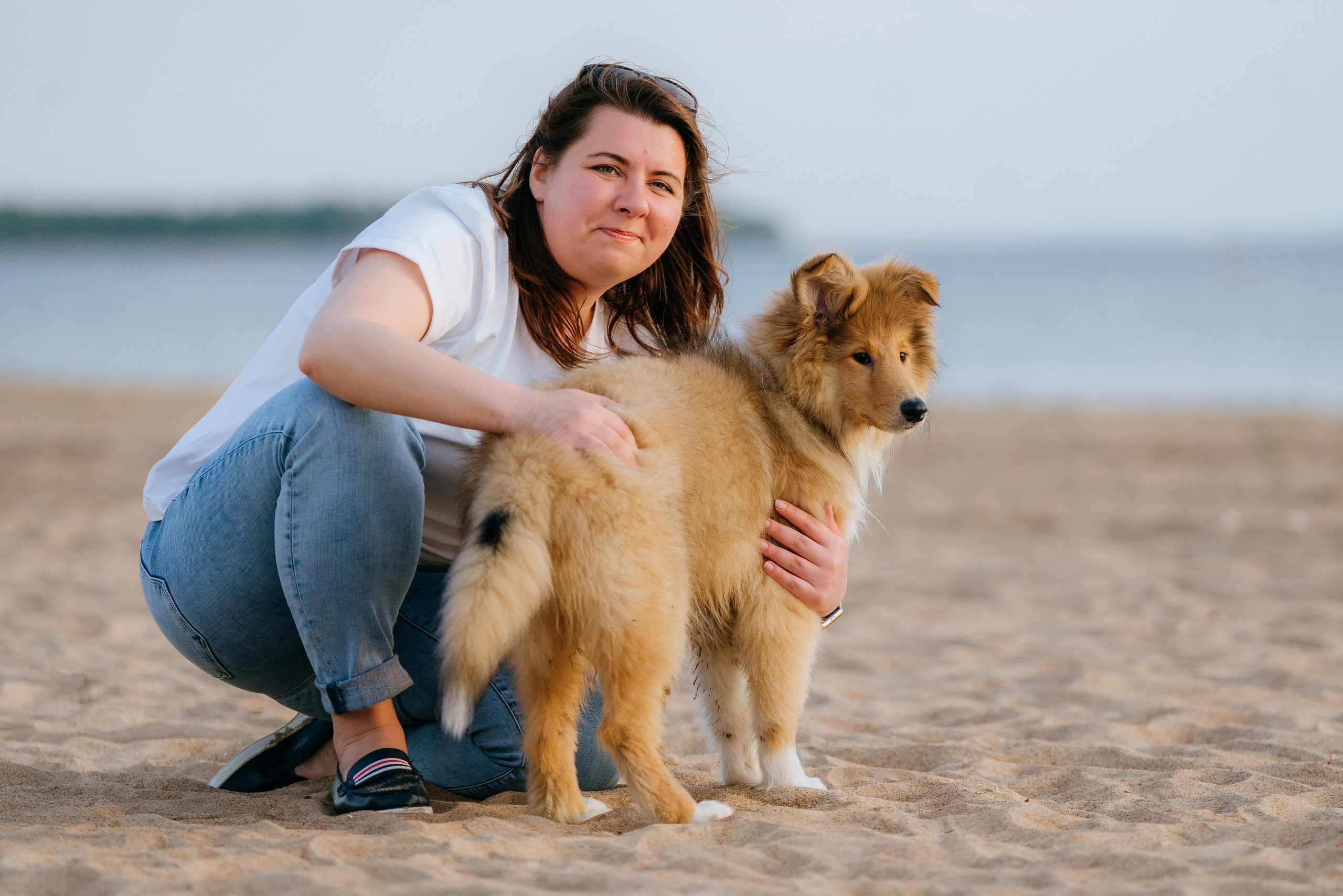 Фотосессия со щенками колли. Фотограф анималист в Спб недорого Олеся Майорова
