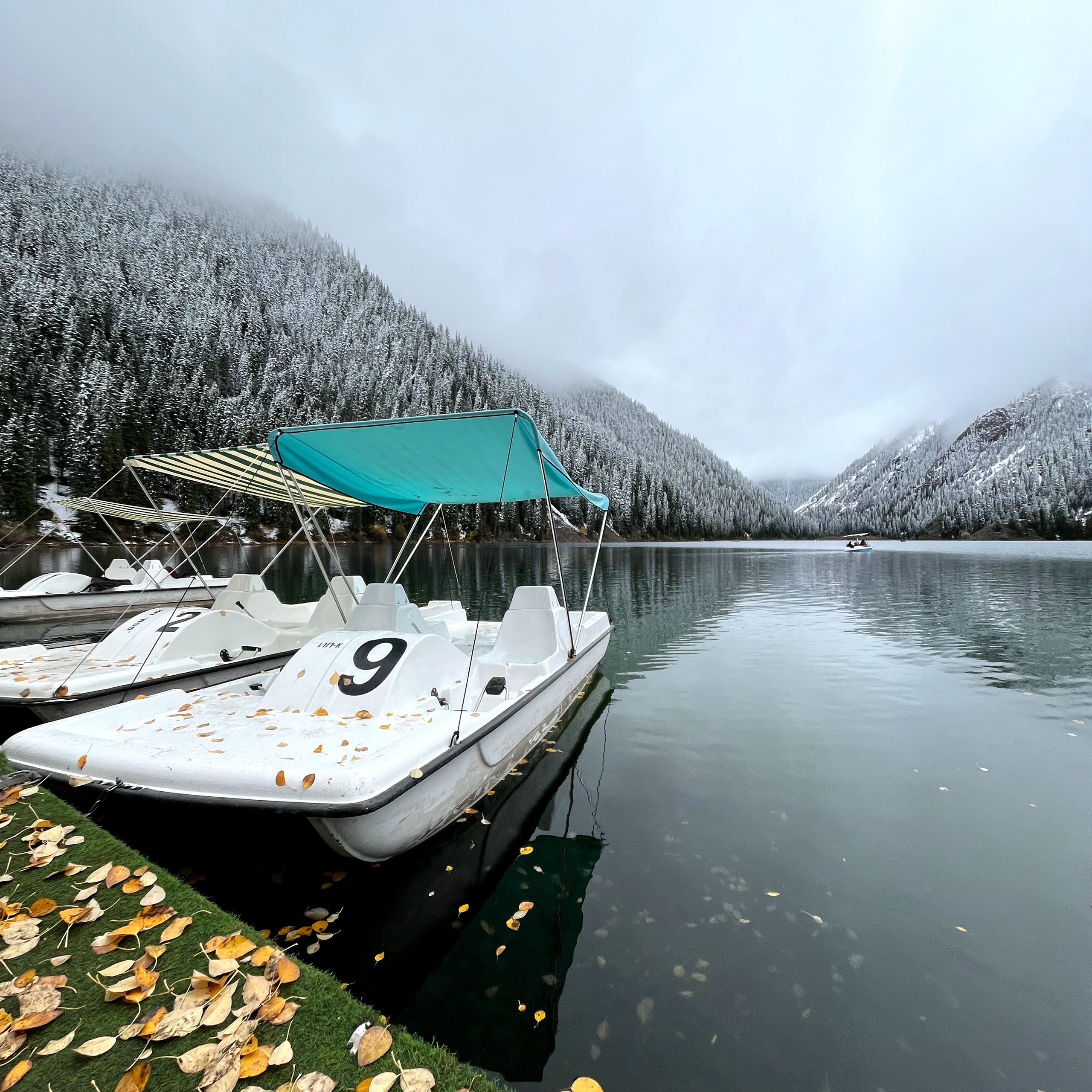 Белые катамараны с номерами и бирюзовыми навесами пришвартованы у берега озера Кольсай в Казахстане. На поверхности катамаранов и вокруг лежат жёлтые осенние листья. Озеро окружено заснеженными еловыми лесами и горами, создавая атмосферу поздней осени или начала зимы. Небо затянуто плотными серыми облаками.