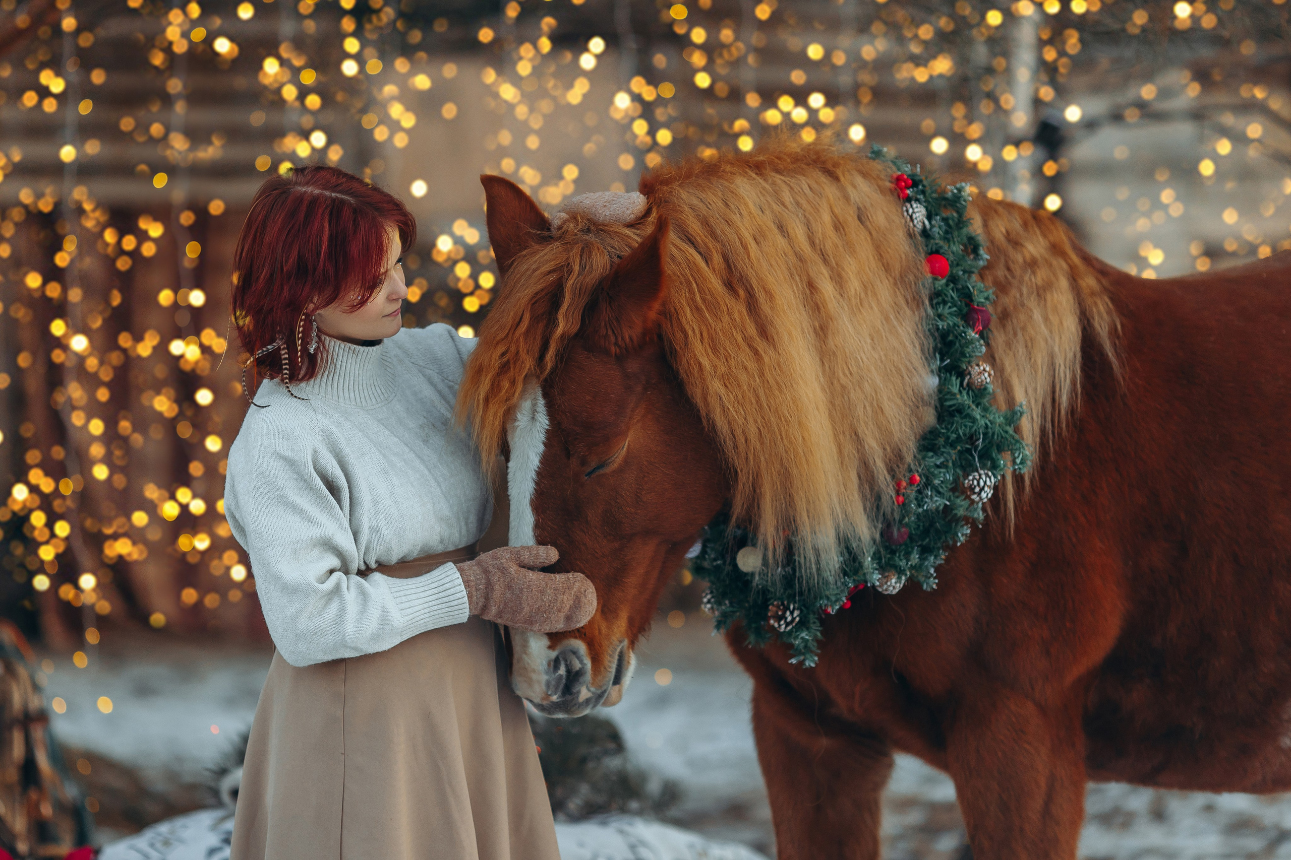 Тариф новогодний 2024. Анна Молчанова конный фотограф в Тюмени | фотосессии с лошадьми Тюмень