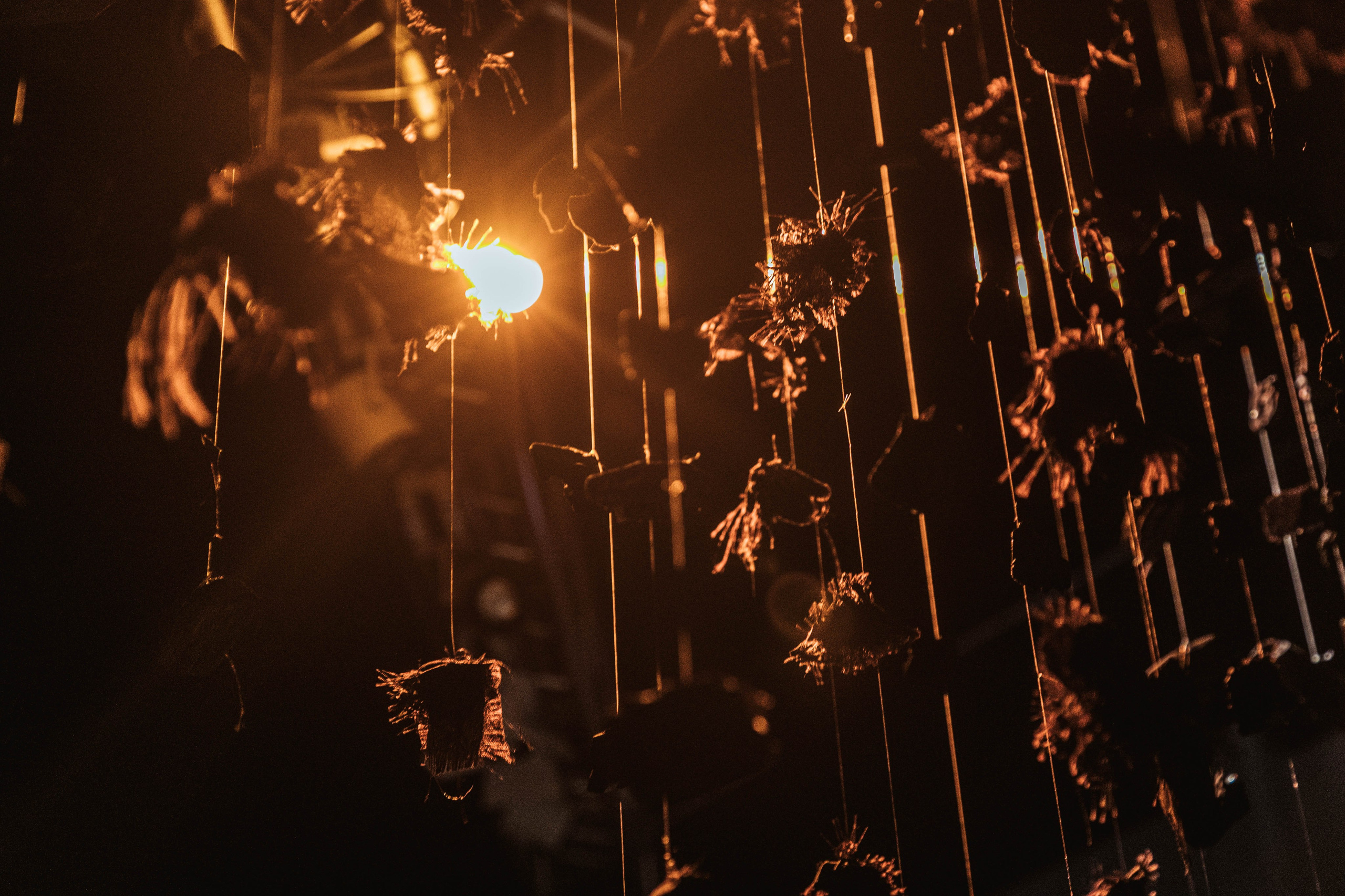 Мультимедийная выставка ГЛАЗА Санкт-Петербург. Репортажный и концертный фотограф в Санкт-Петербурге Адмакина Дарья