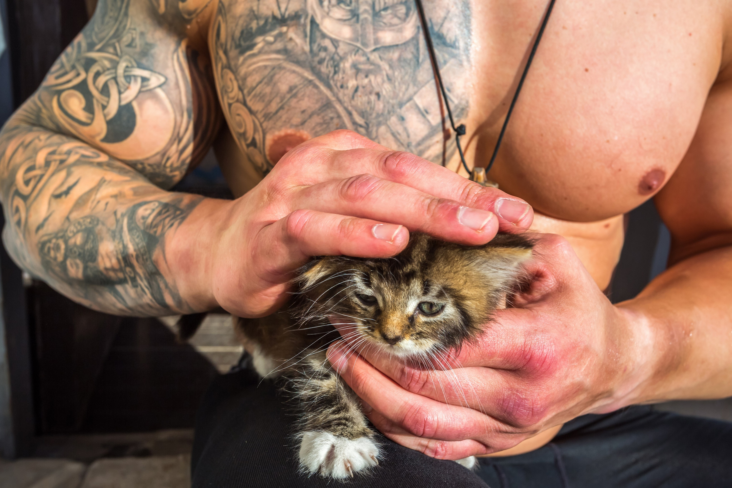 СВЯЗАННЫЕ ОДНОЙ ЗОНОЙ. Контакты