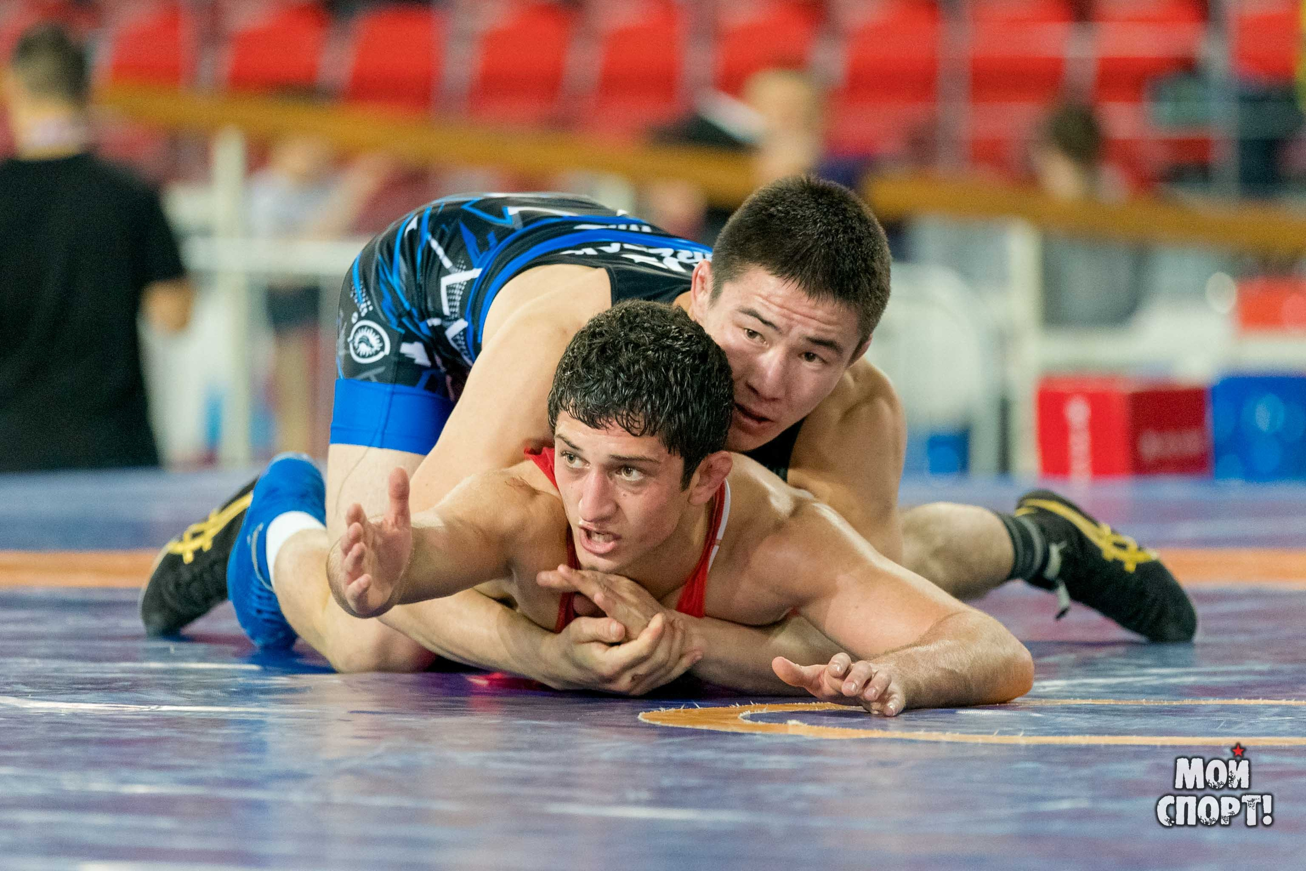 X международные соревнования по спортивной борьбе памяти Р. Дмитриева. Студия «Мой Спорт!» — все о спорте в Якутии