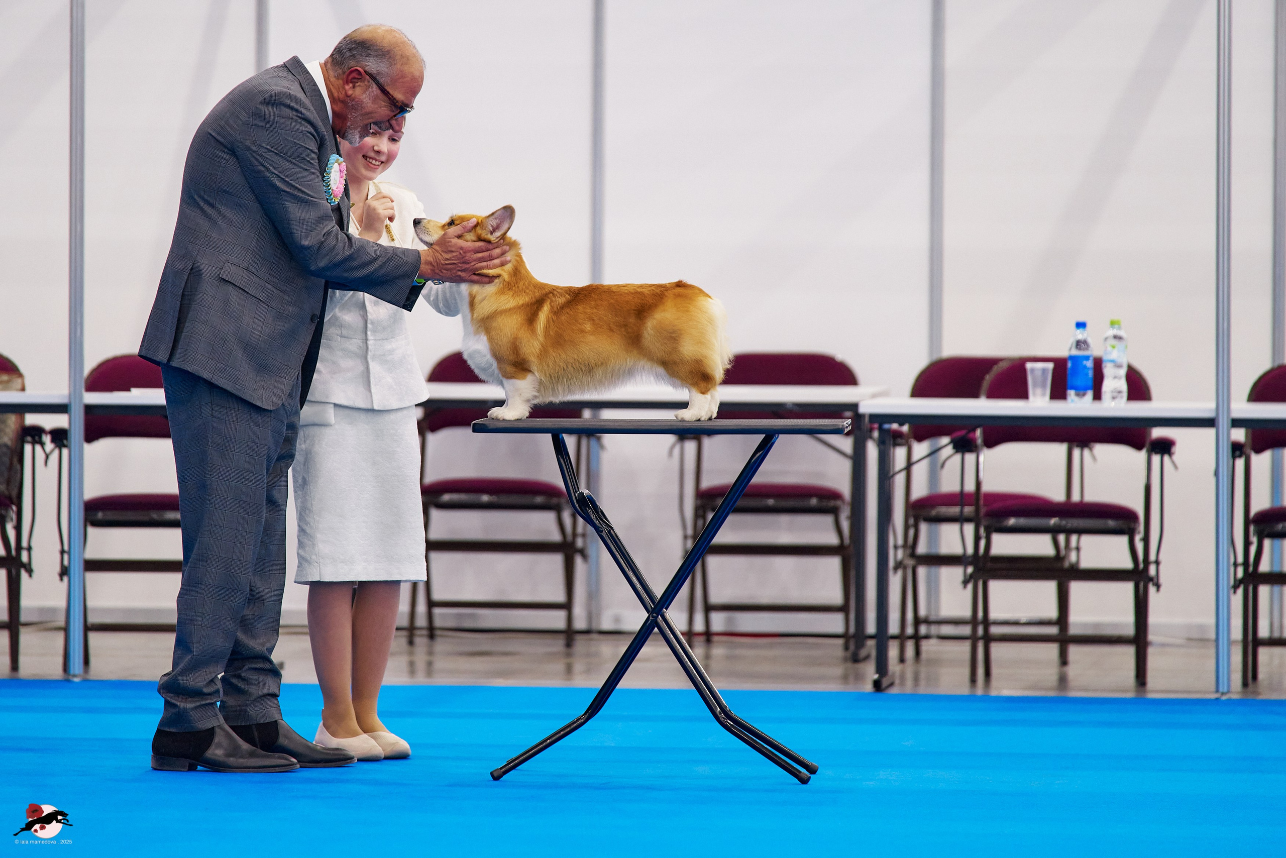 ГРАН ПРИ «ВЕСЕННИЙ ПЕТЕРБУРГ» & «СУПЕР КУБОК «ЭЛИТЫ»-2025»