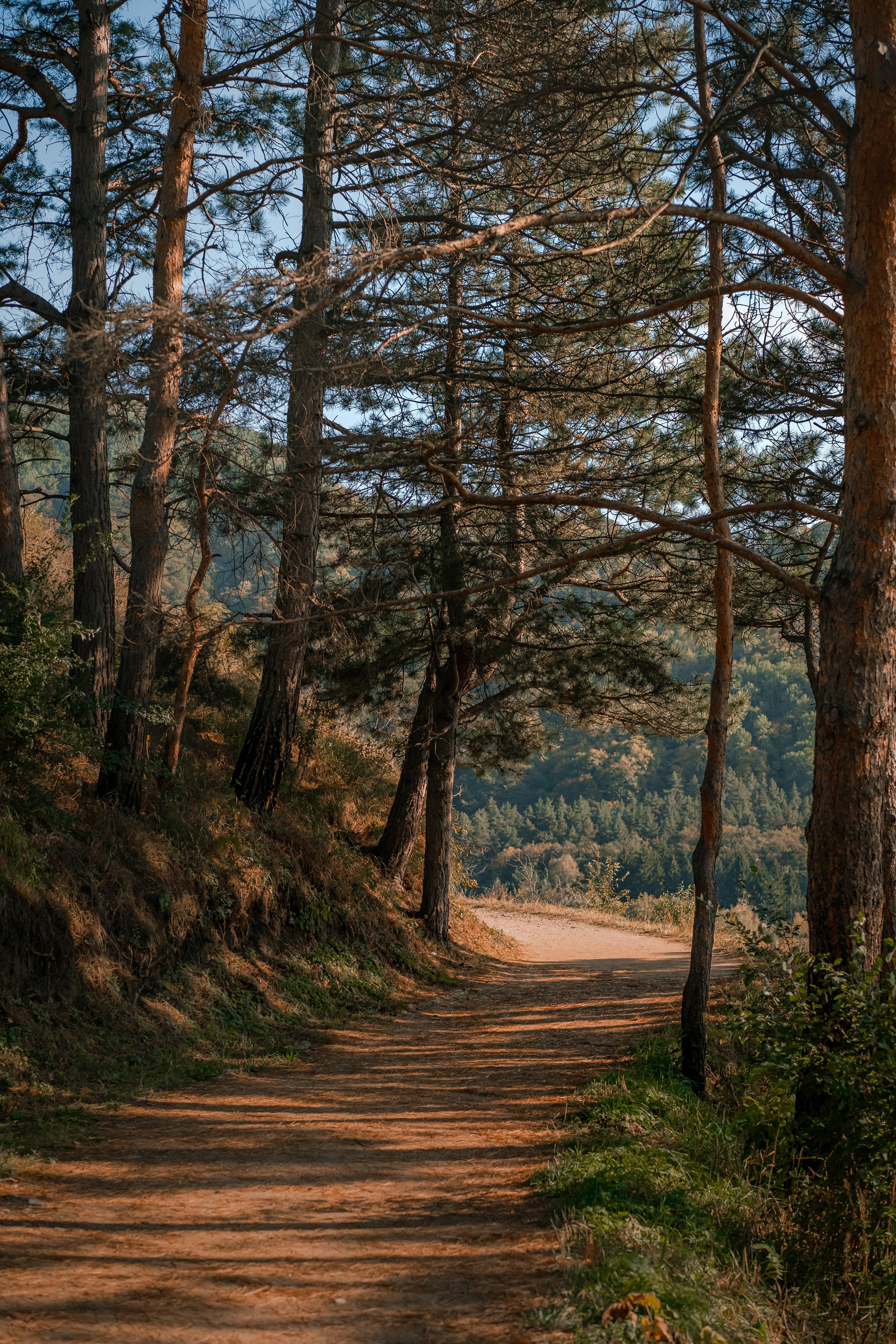 Извилистые терренкуры. Юля Дэй • Фотограф, Санкт-Петербург