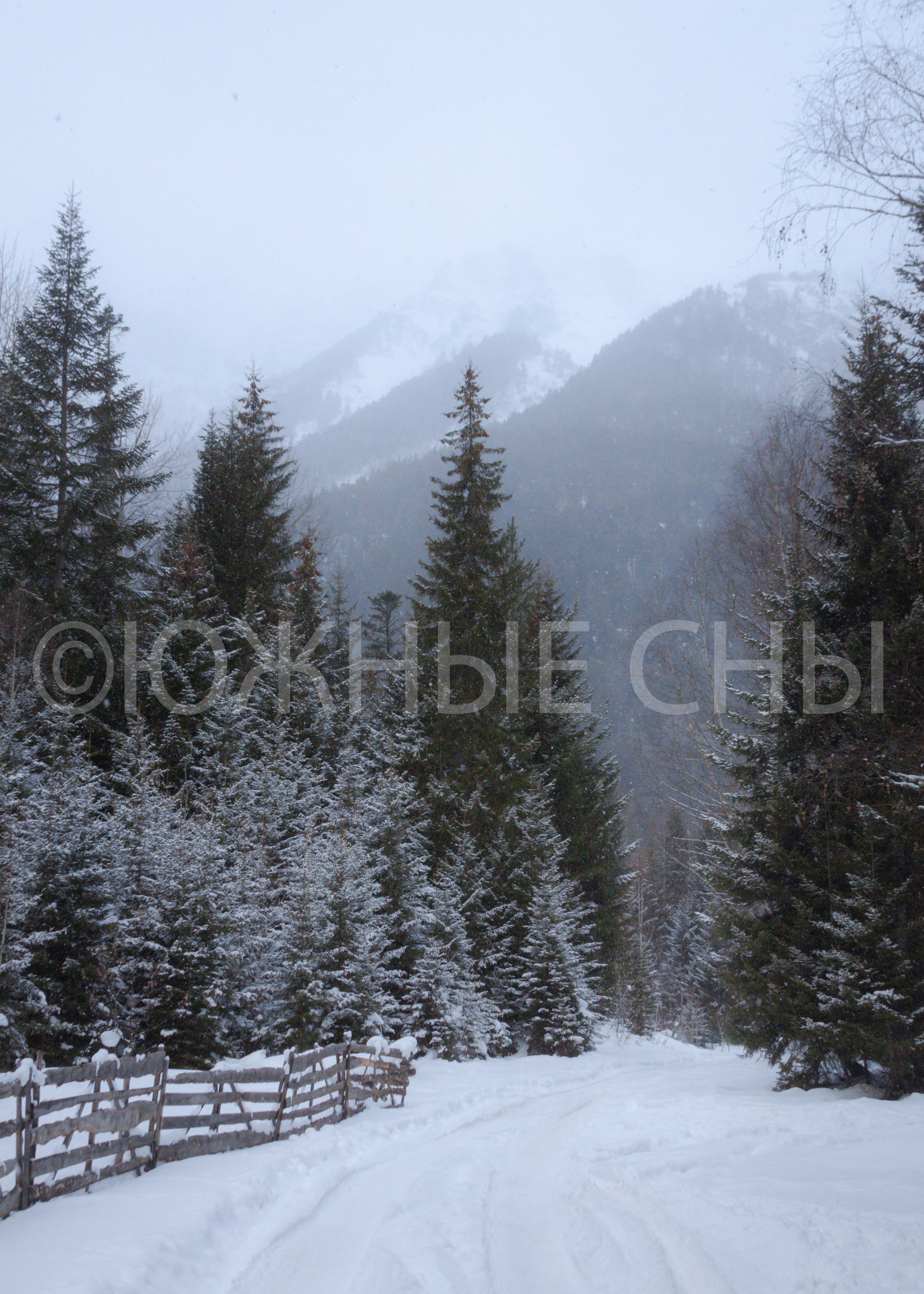 Зима в Махаре