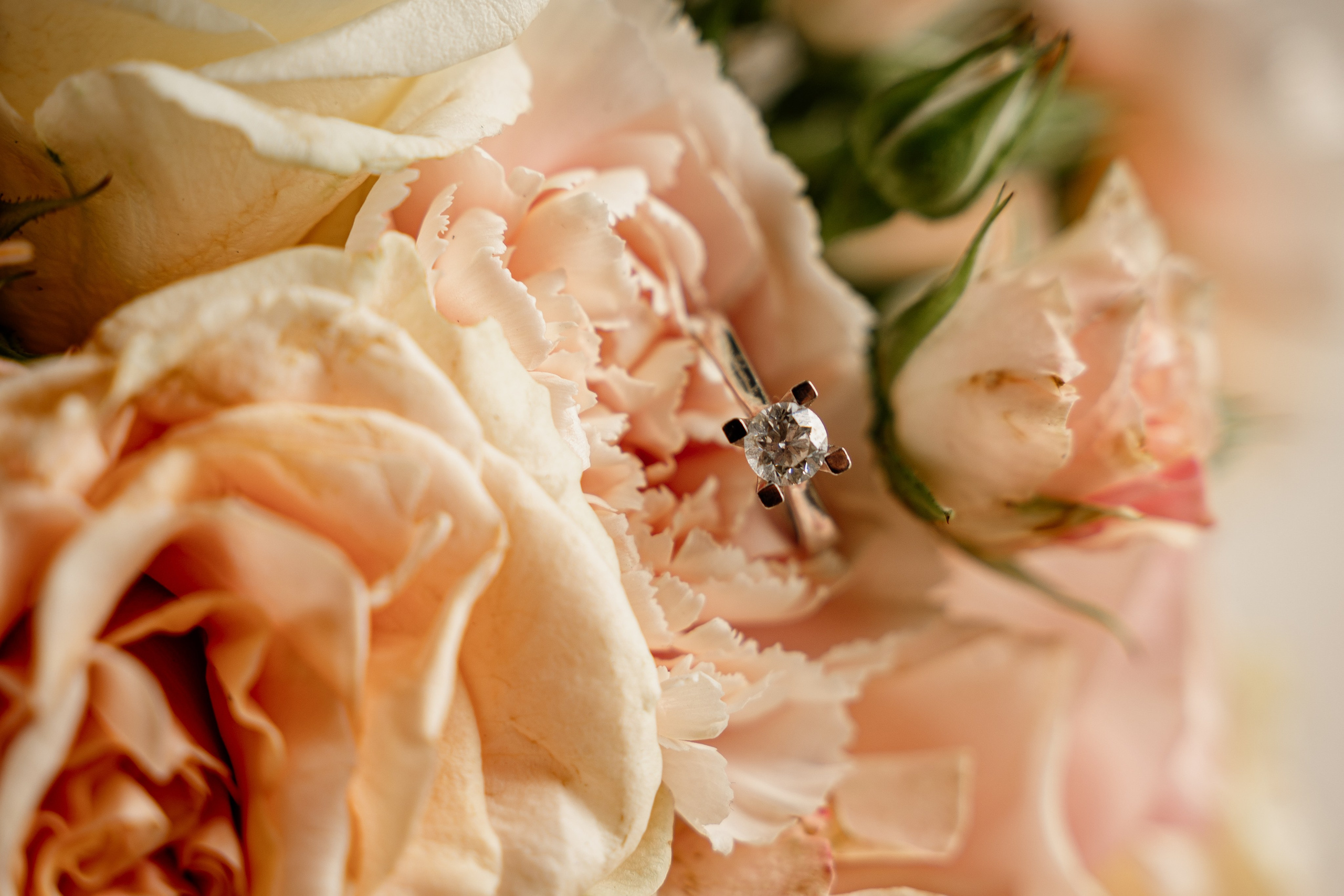 Celebrate Love with Montenegro’s Top Wedding Photographer. Photographer in Montenegro | Фотограф в Черногории