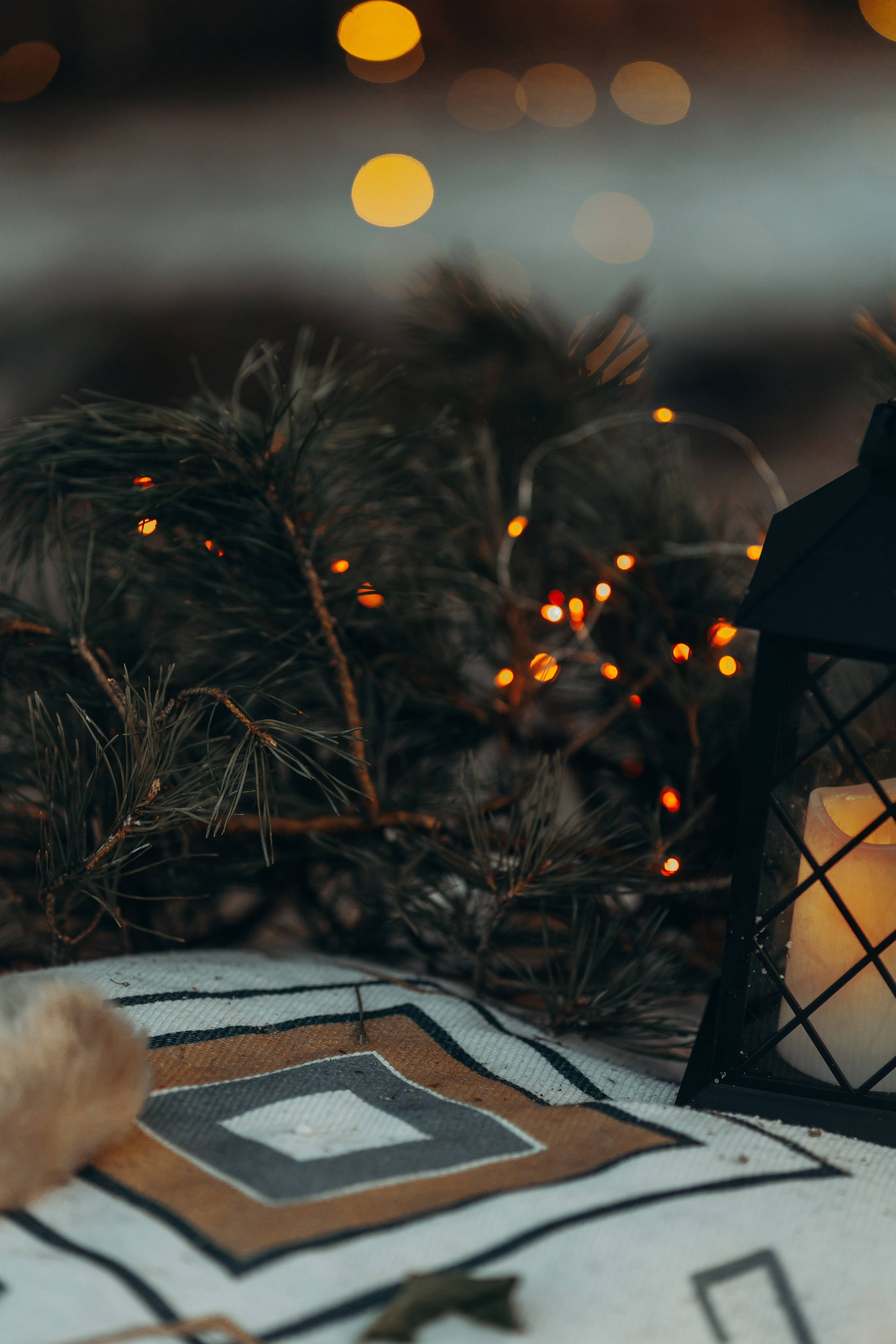 Тариф новогодний 2024. Анна Молчанова конный фотограф в Тюмени | фотосессии с лошадьми Тюмень