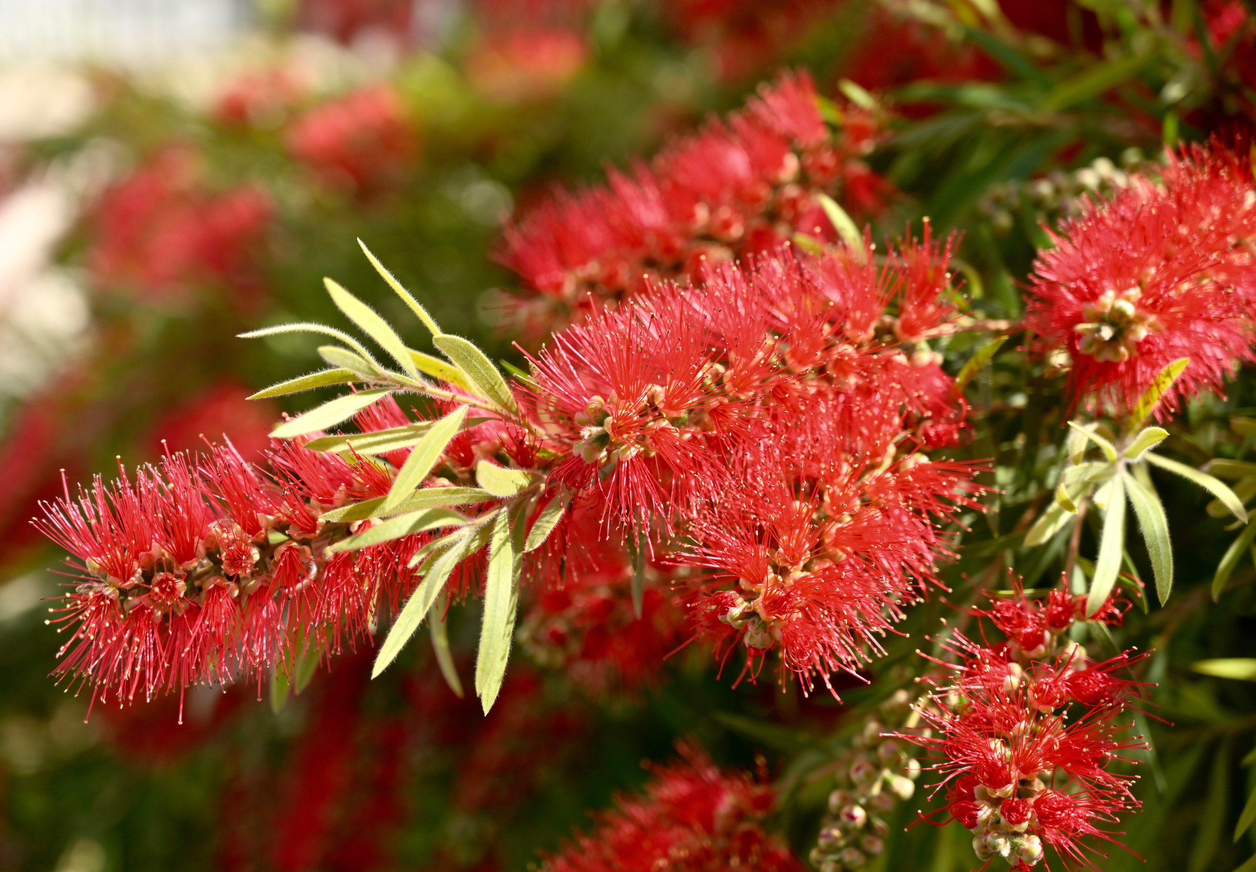 Парк Кабисера. Гид и фотограф в Валенсии Новиков Михаил