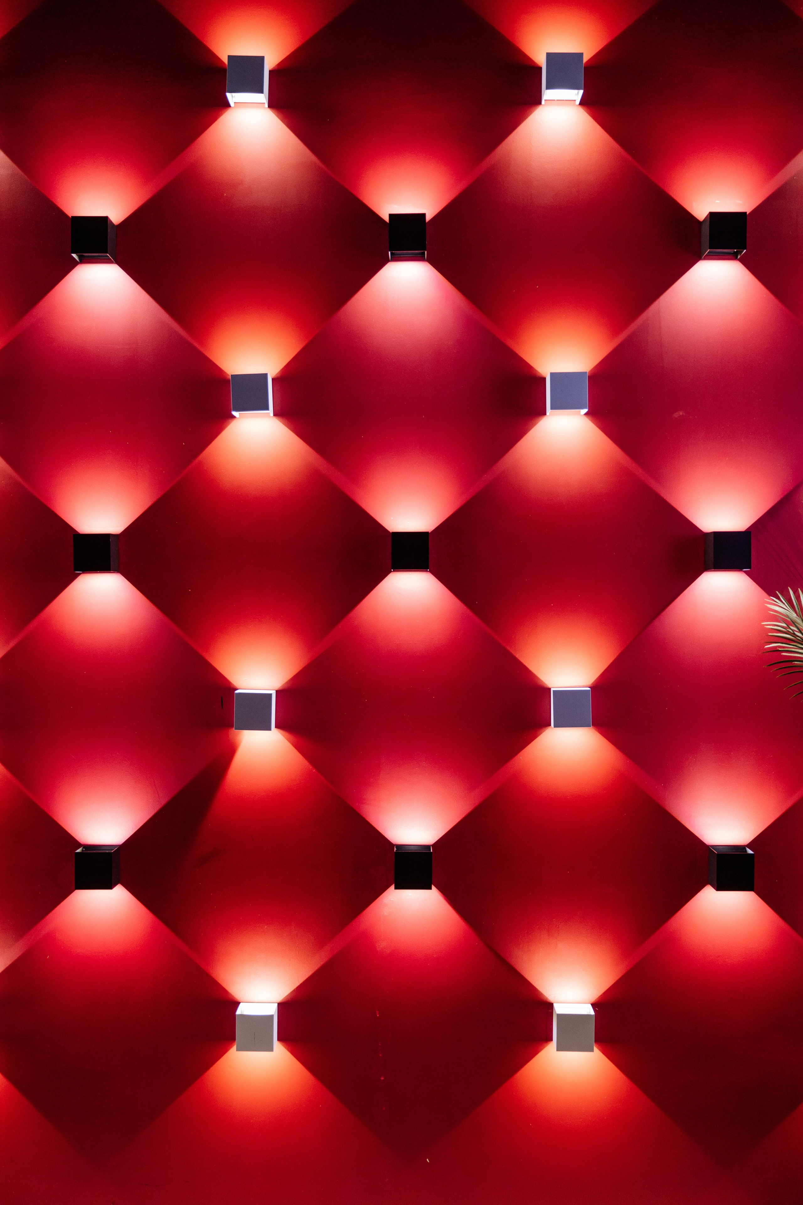 День Рождения XO — 1 ГОД | Lucaveros. Lounge Bar X.O