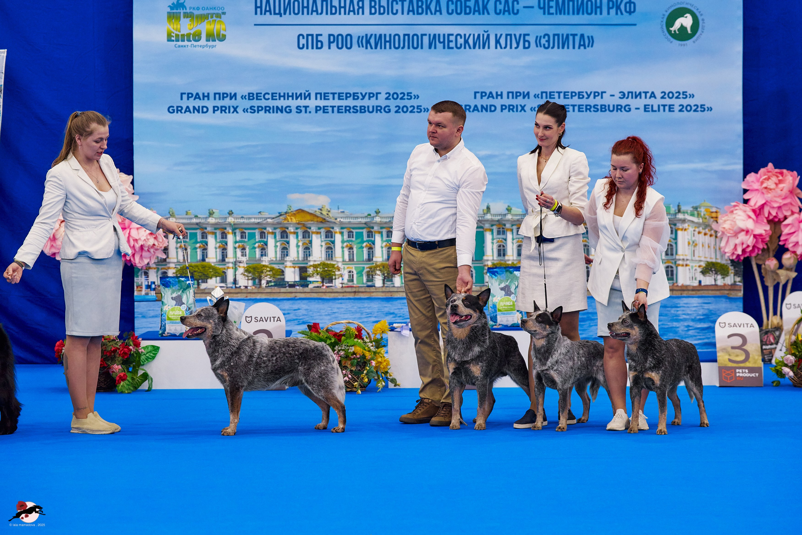 ГРАН ПРИ «ВЕСЕННИЙ ПЕТЕРБУРГ» & «СУПЕР КУБОК «ЭЛИТЫ»-2025»