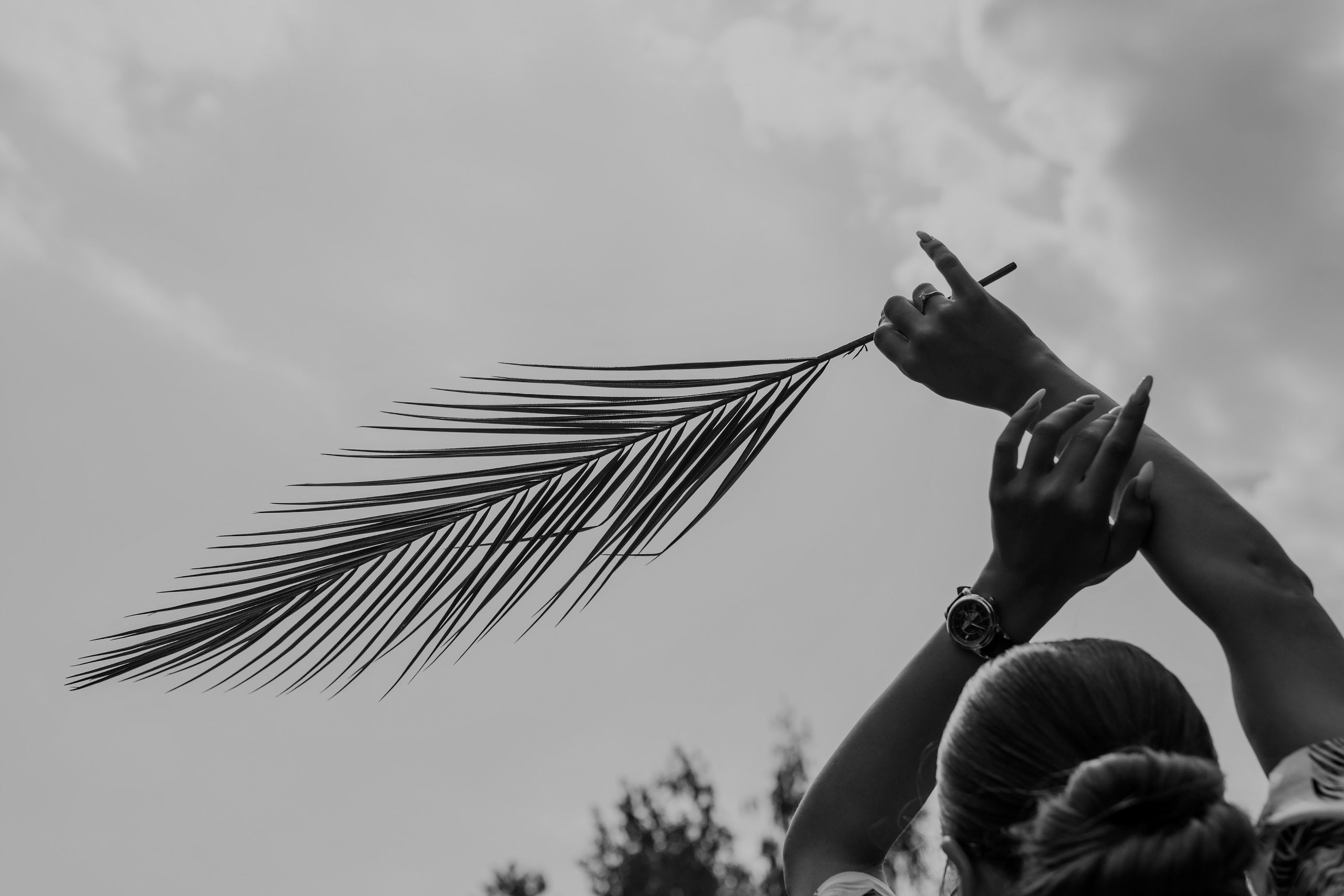 Дмитрий Позняк — свадебный фотограф в Брянске. Личный сайт фотографа