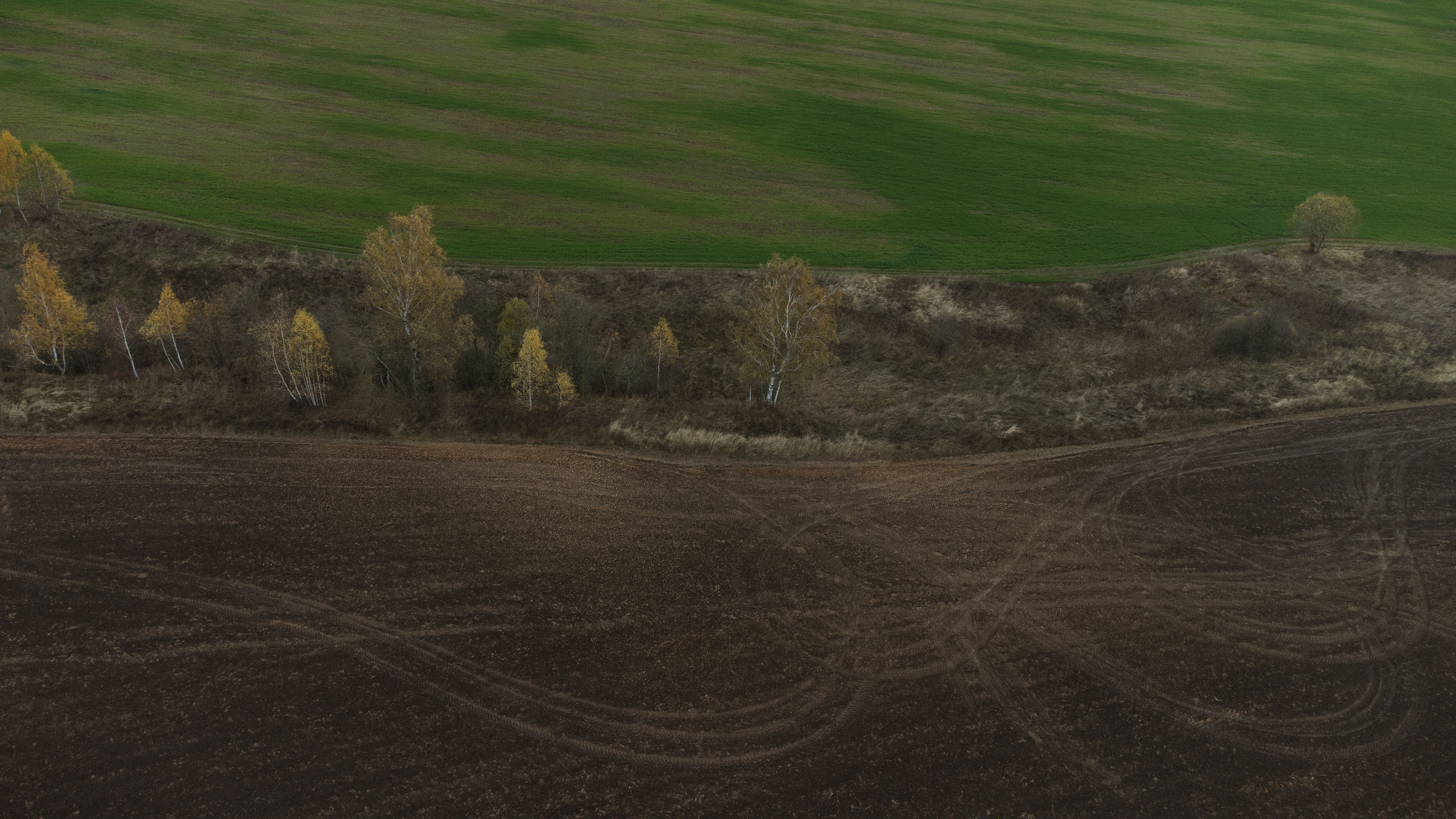 Вид сверху. Свадебный фотограф Колесников Антон