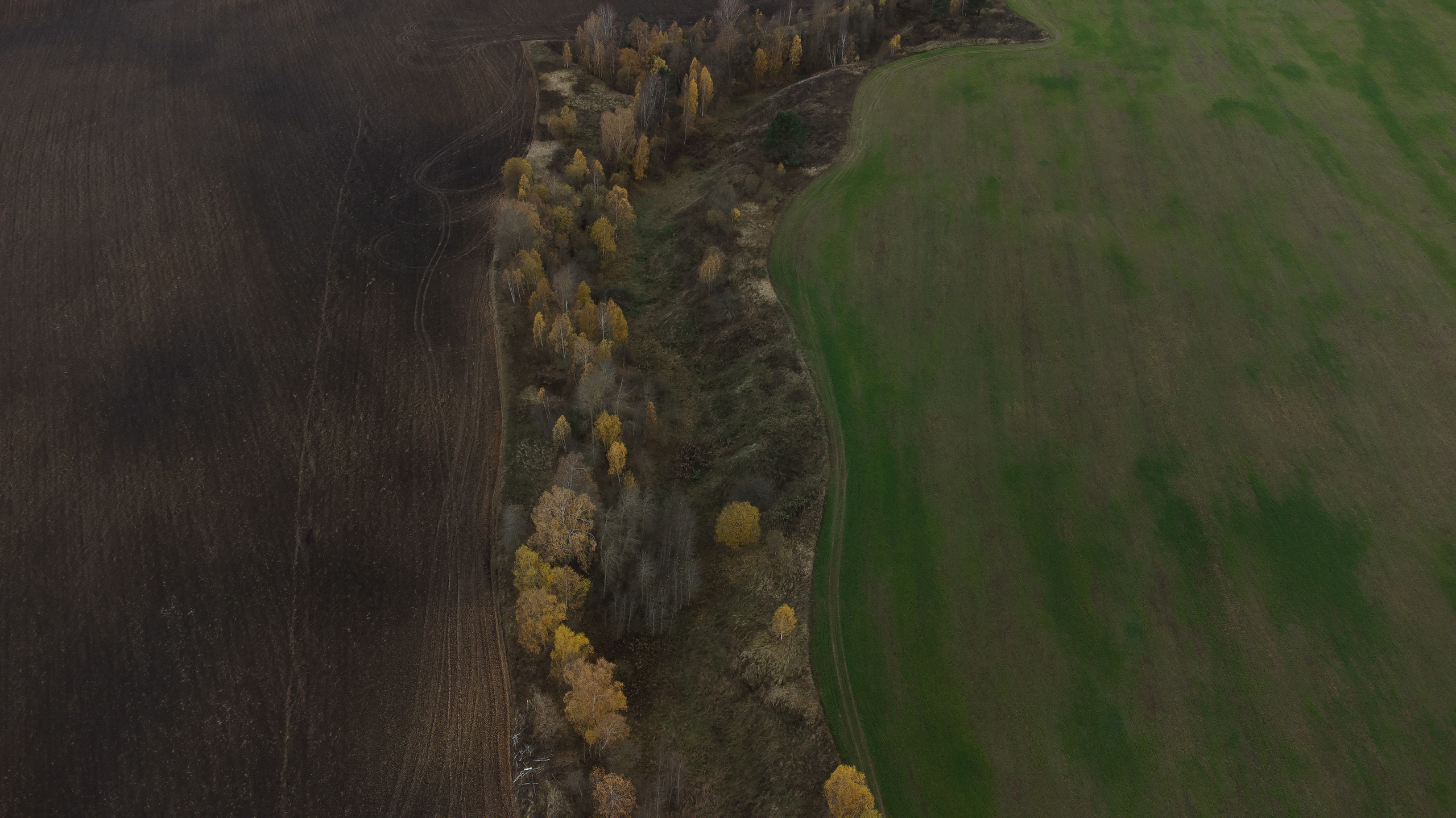 Вид сверху. Свадебный фотограф Колесников Антон