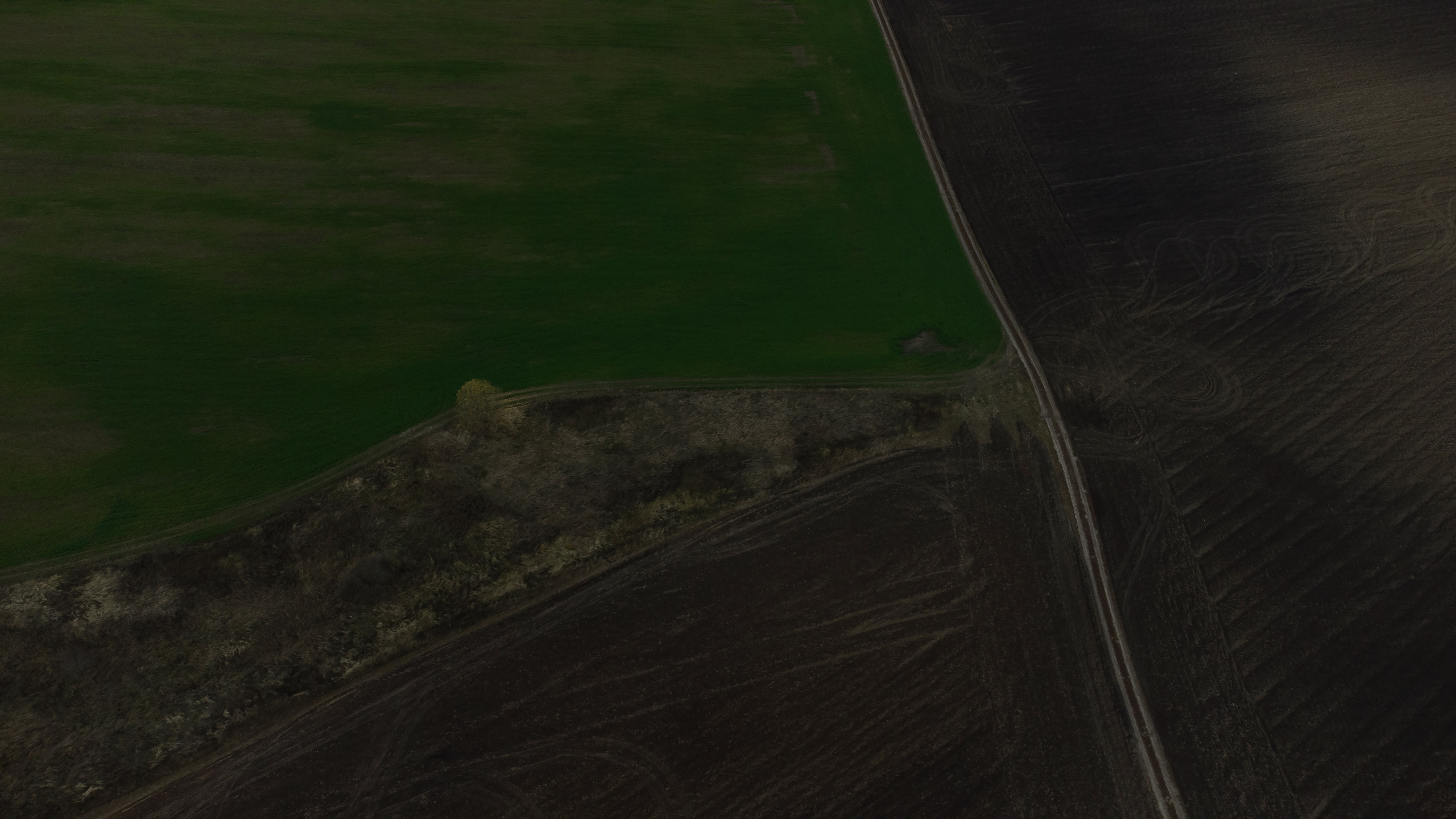 Вид сверху. Свадебный фотограф Колесников Антон