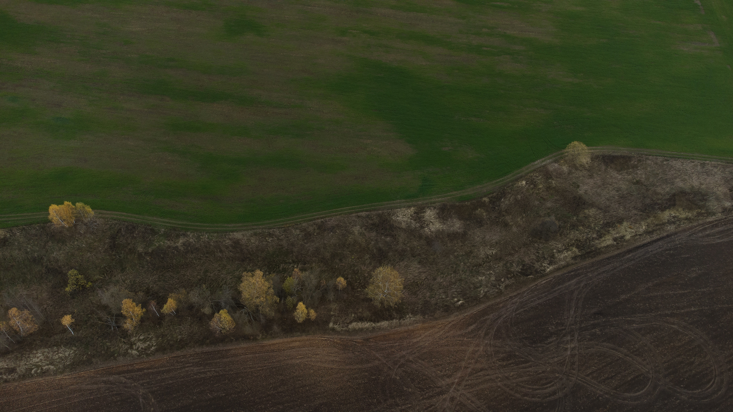 Вид сверху. Свадебный фотограф Колесников Антон