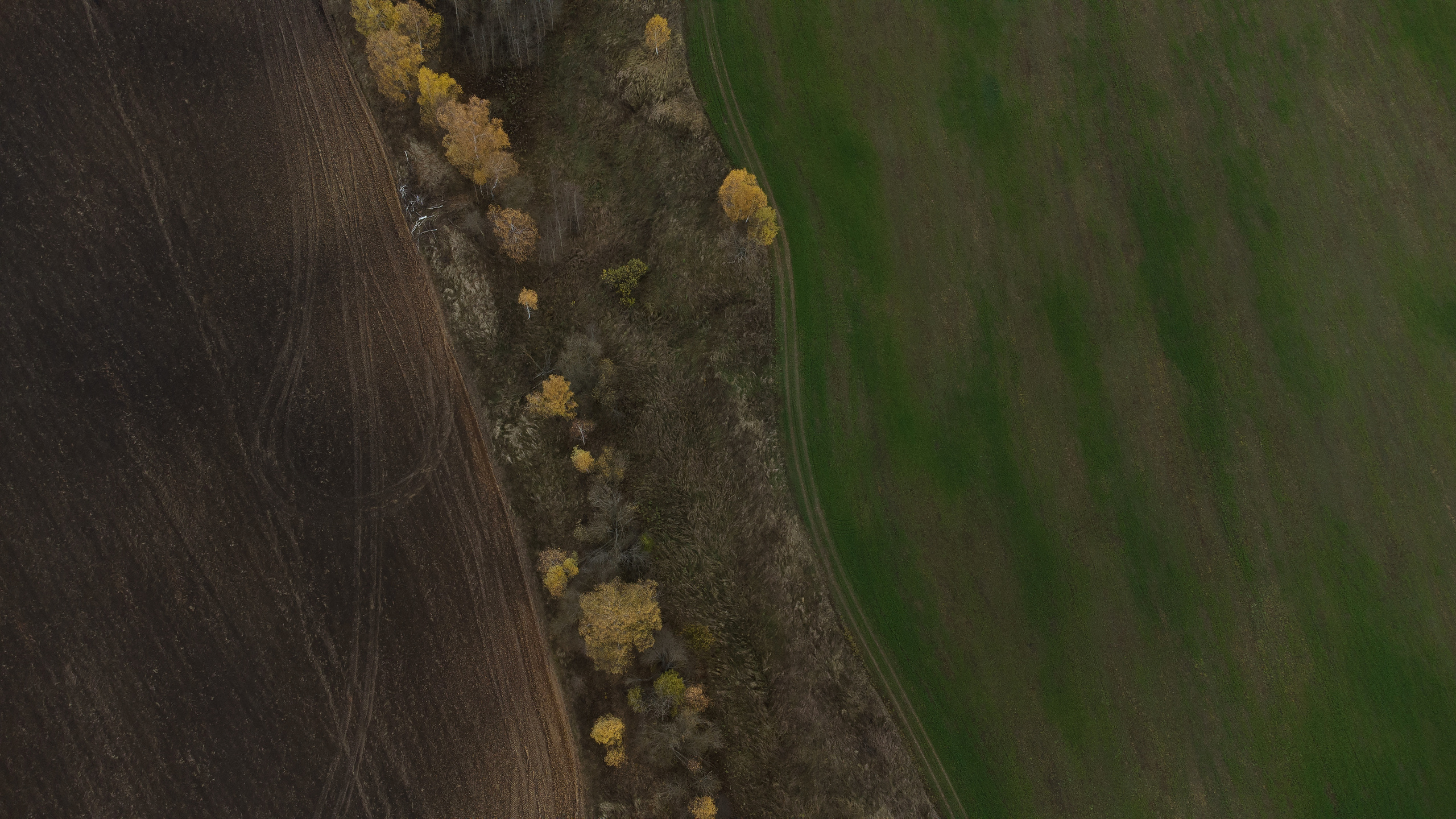 Вид сверху. Свадебный фотограф Колесников Антон