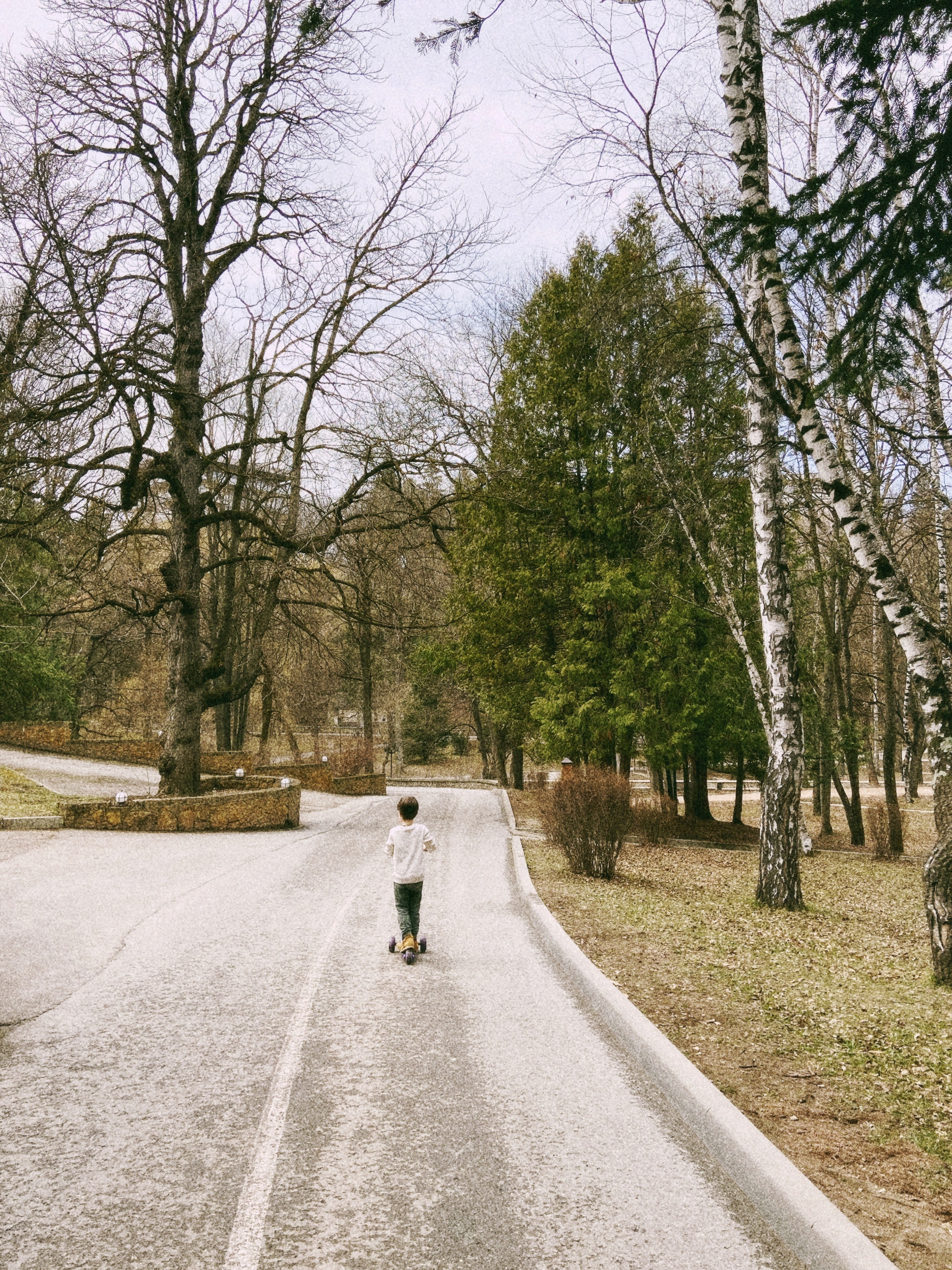 МК Мобильная фотография. Wedding photographer