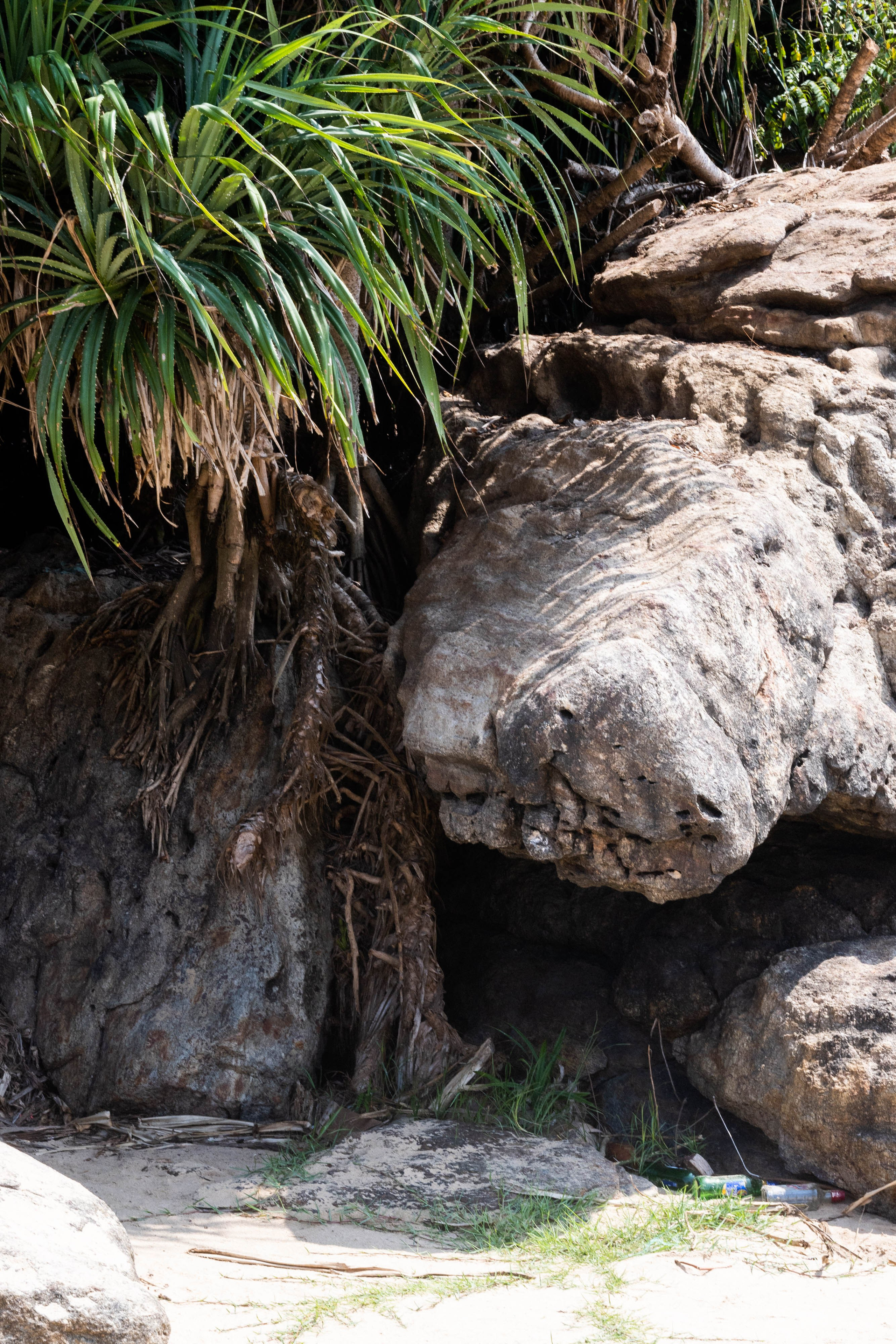 ИНДИЯ. Фотограф Анастасия Броварник в Санкт-Петербурге