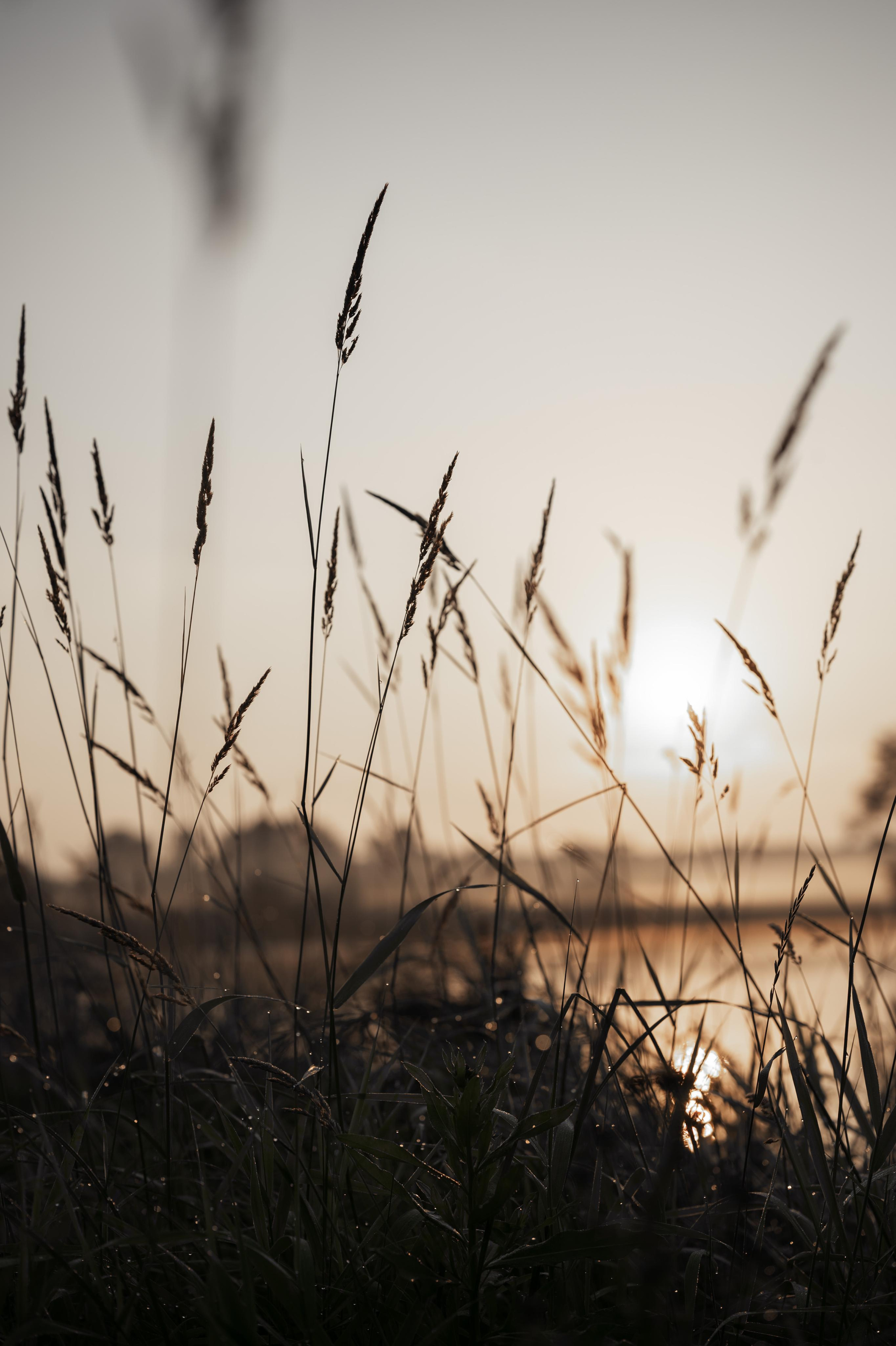 Русалка Таня. Свадебный фотограф Йошкар-Ола Казань